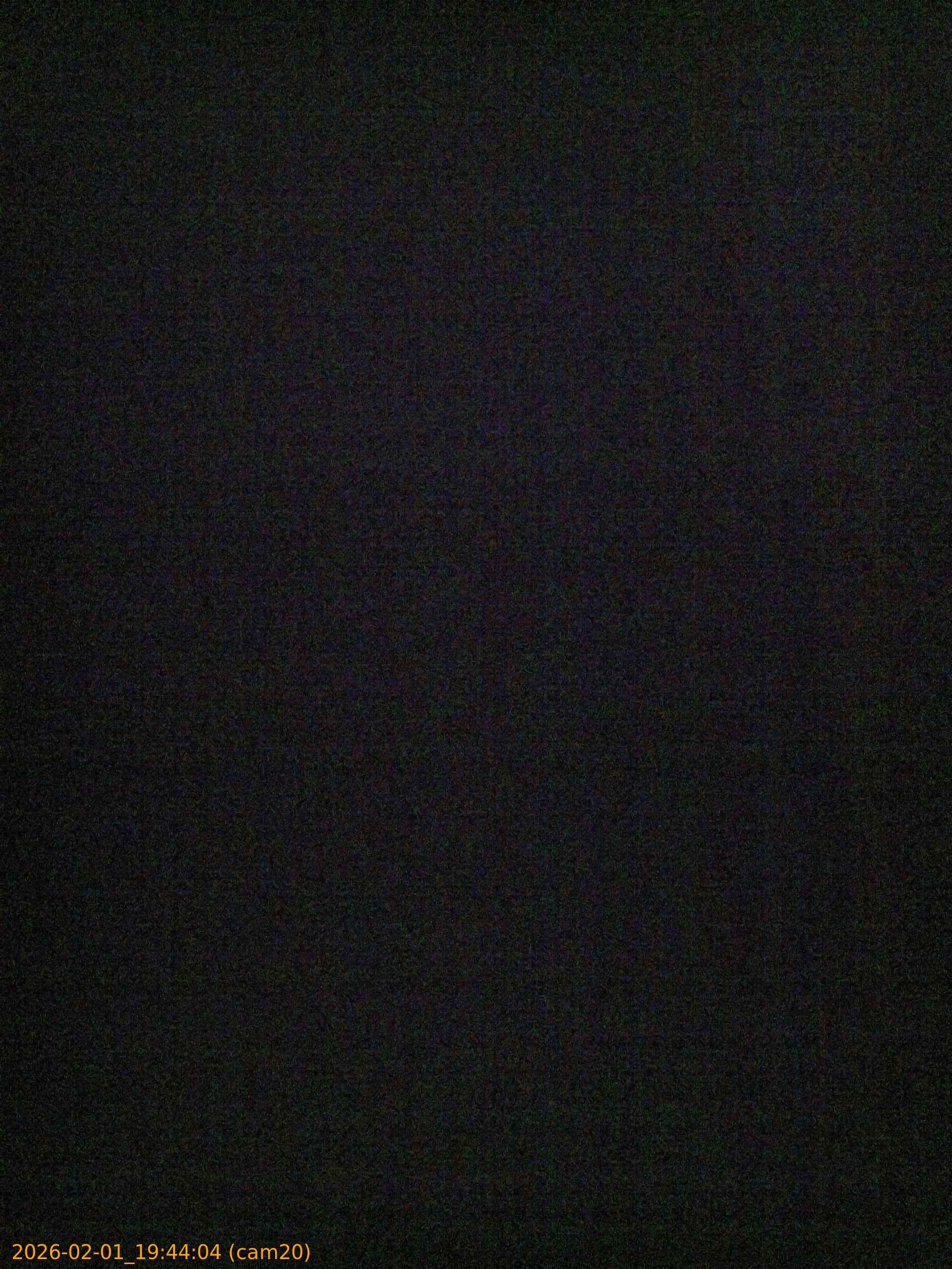 thumbnail_20260201194404