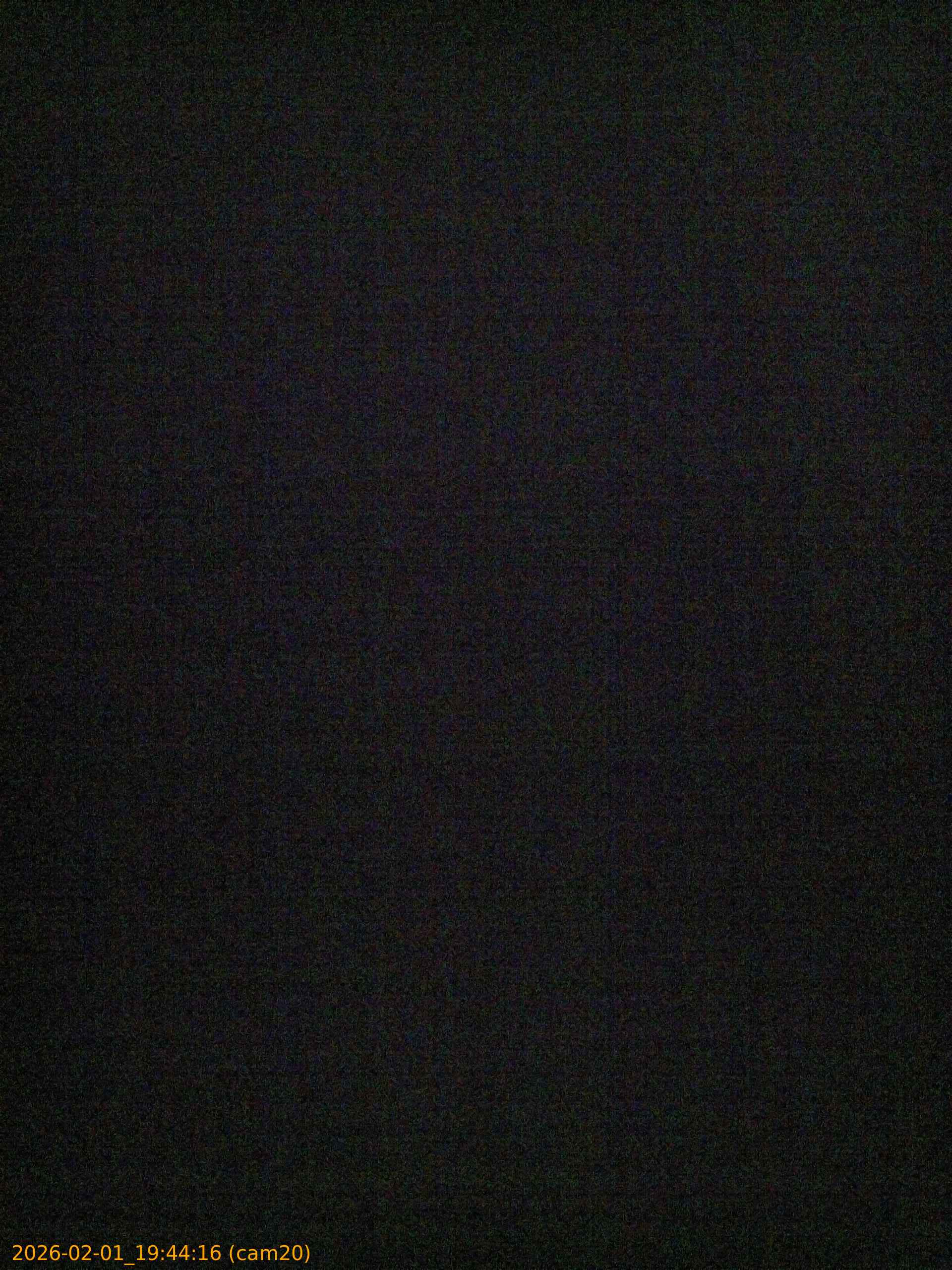 thumbnail_20260201194416