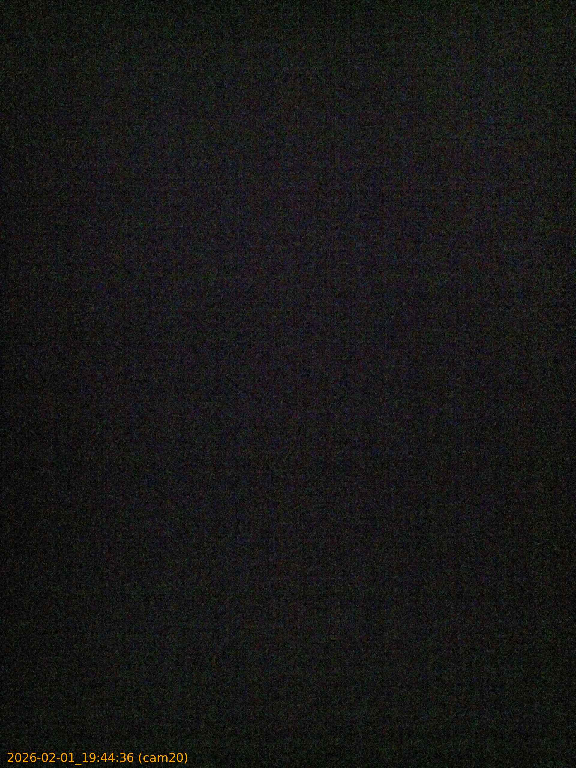 thumbnail_20260201194436