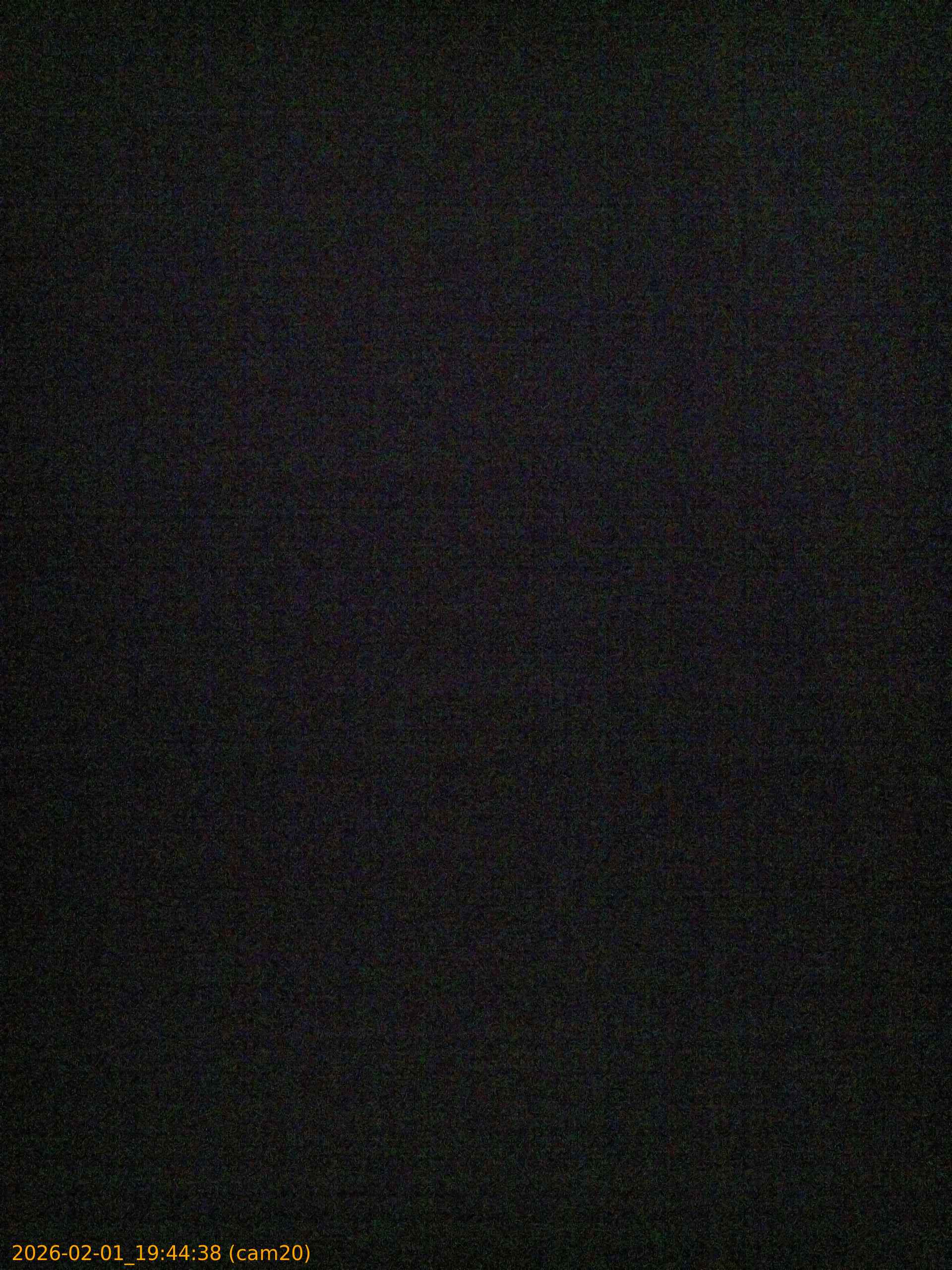 thumbnail_20260201194438