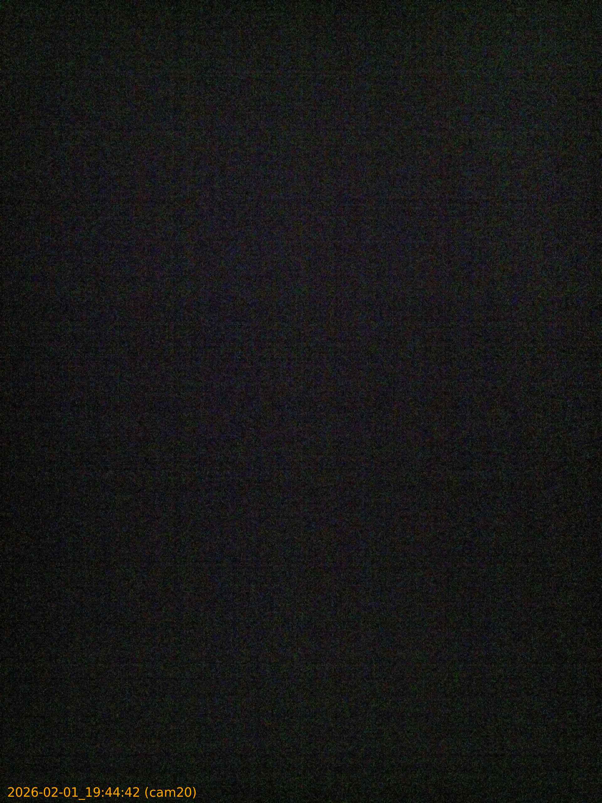 thumbnail_20260201194442