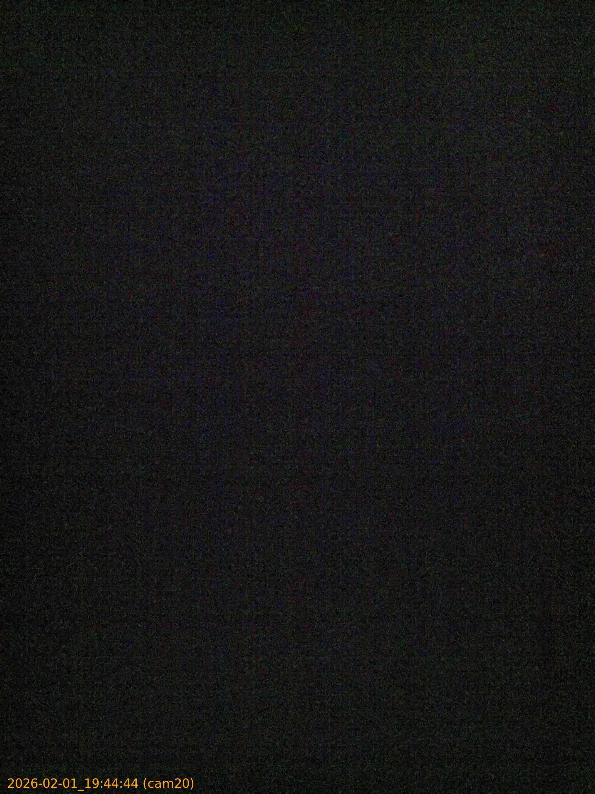 thumbnail_20260201194444