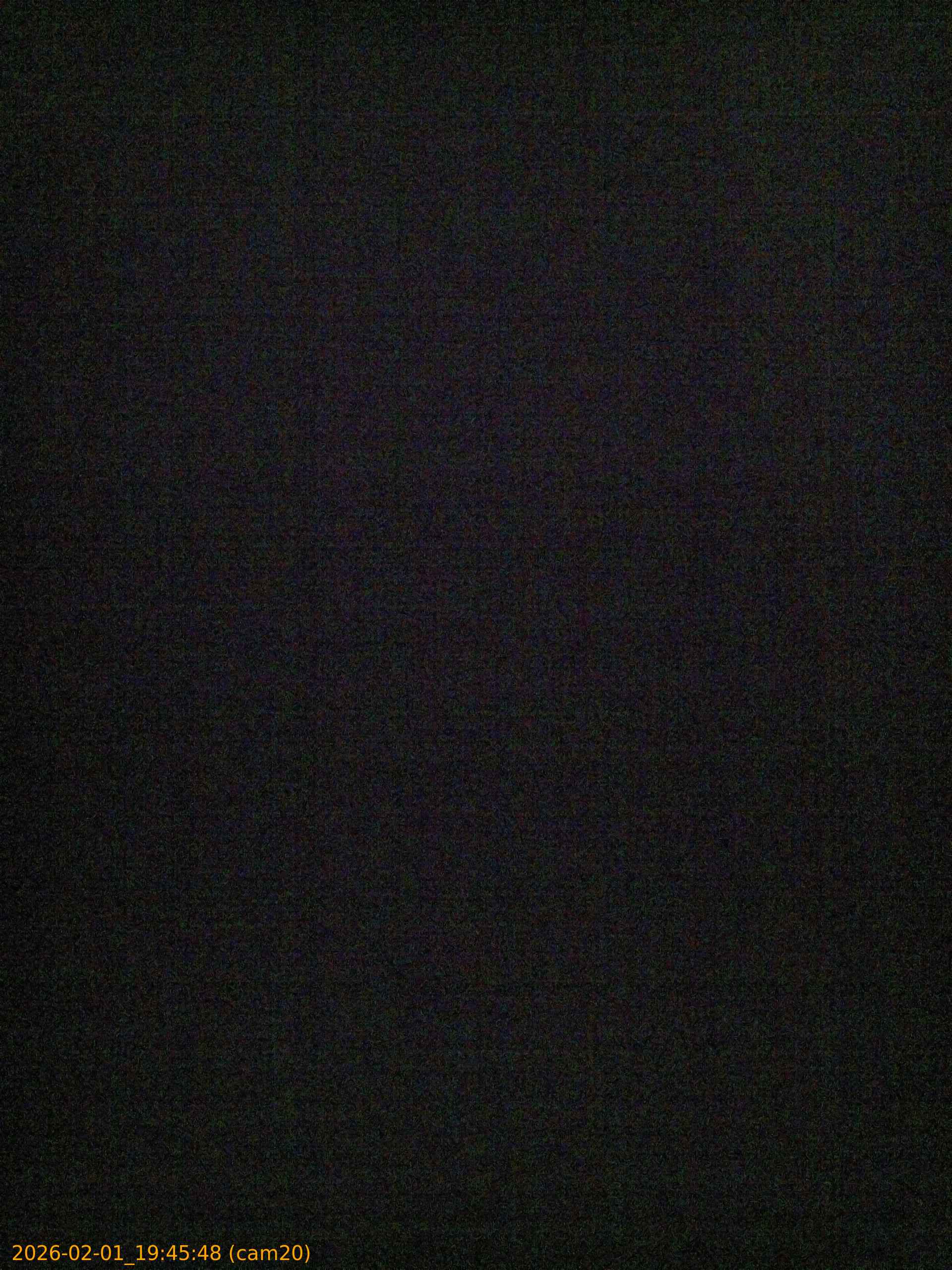 20260201194548