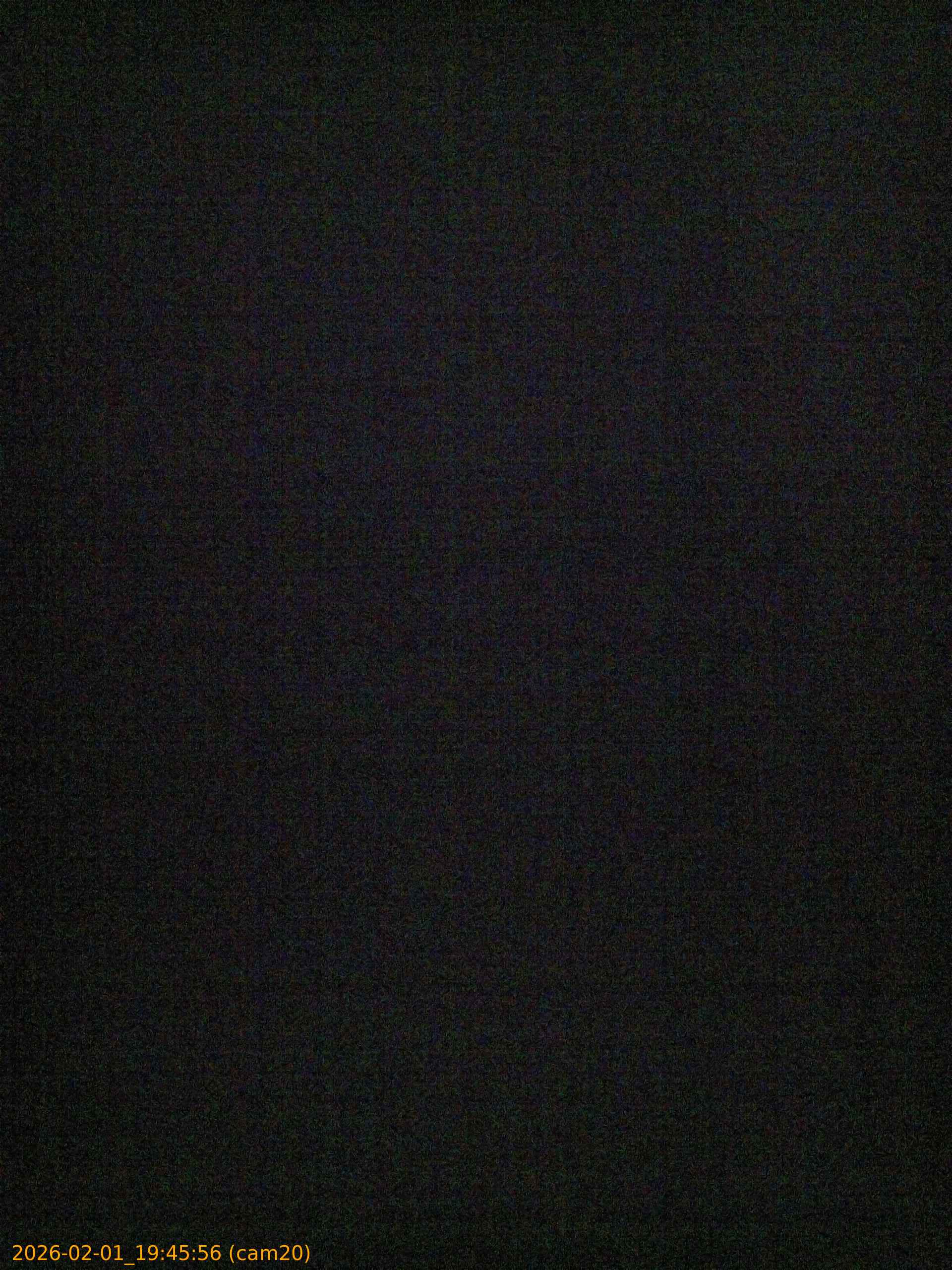 20260201194556