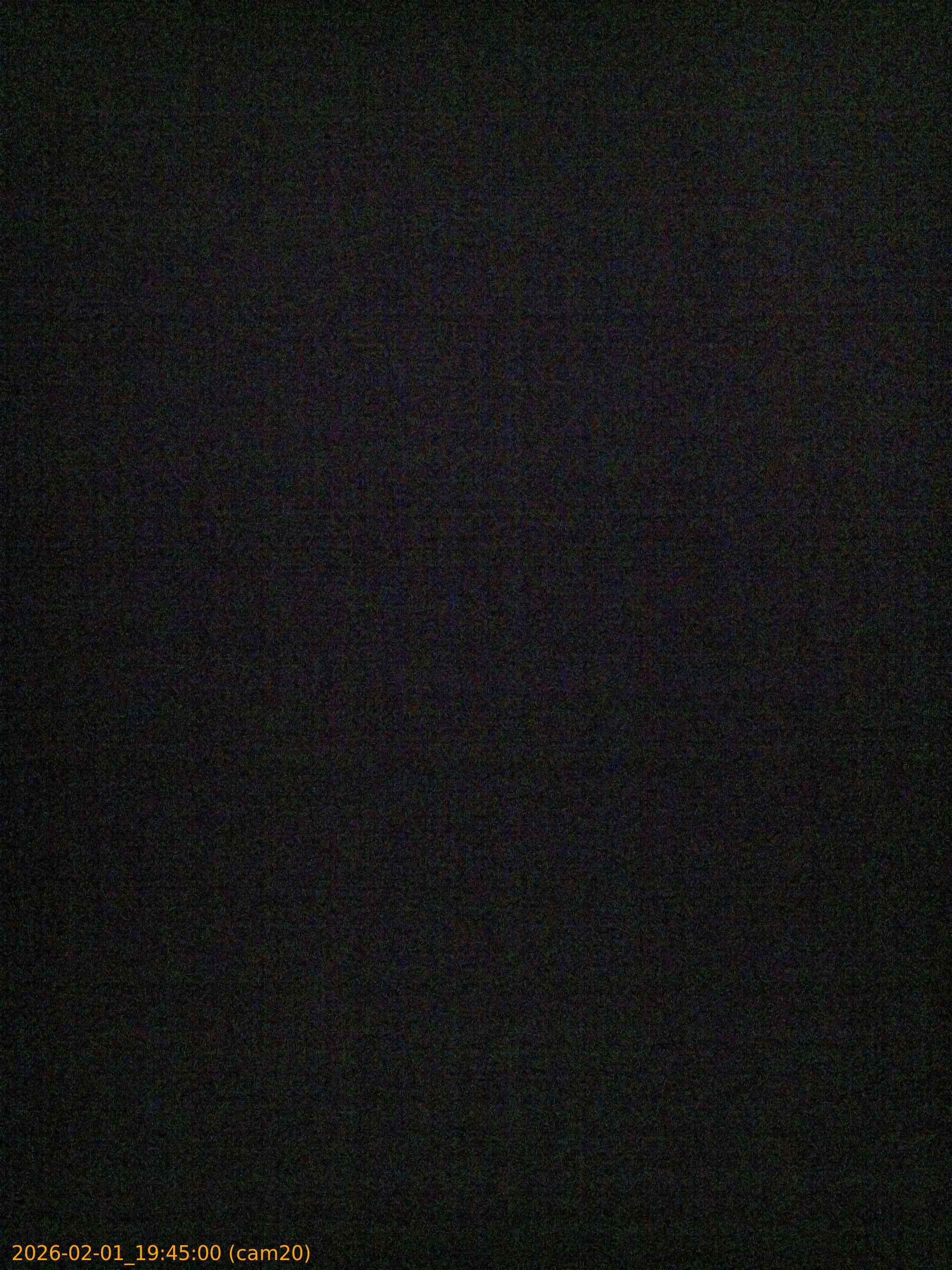 thumbnail_20260201194500