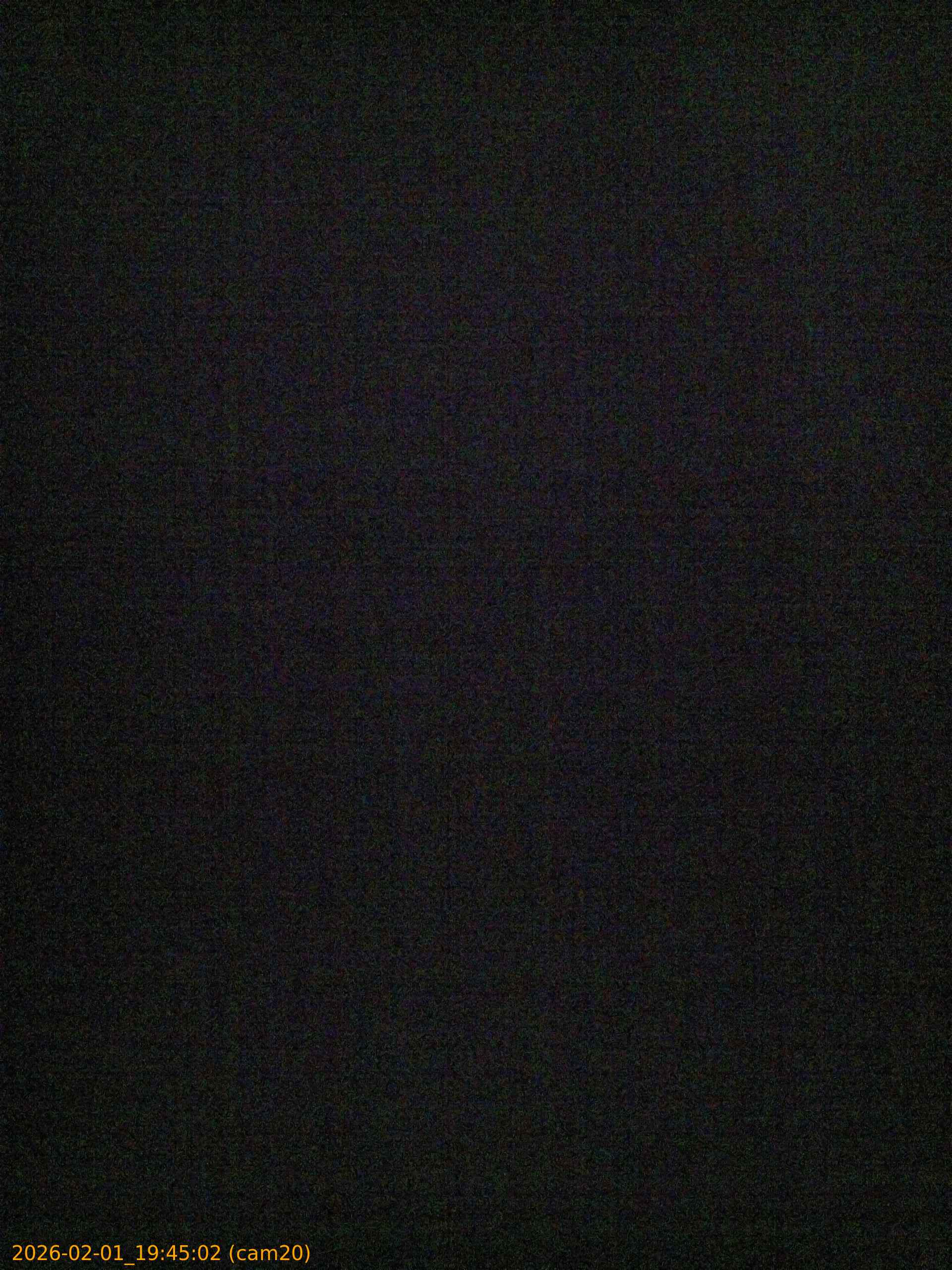 thumbnail_20260201194502