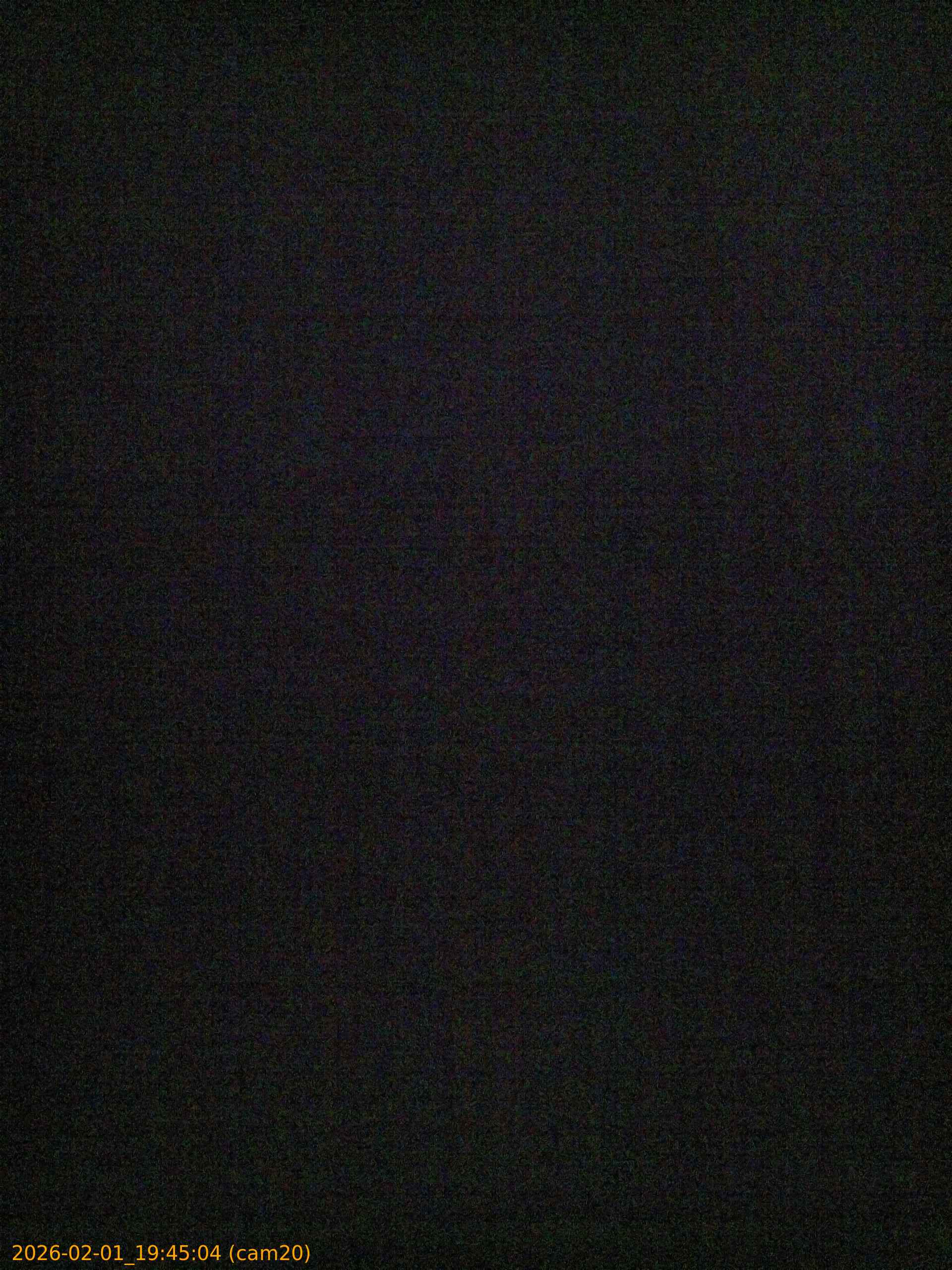 thumbnail_20260201194504