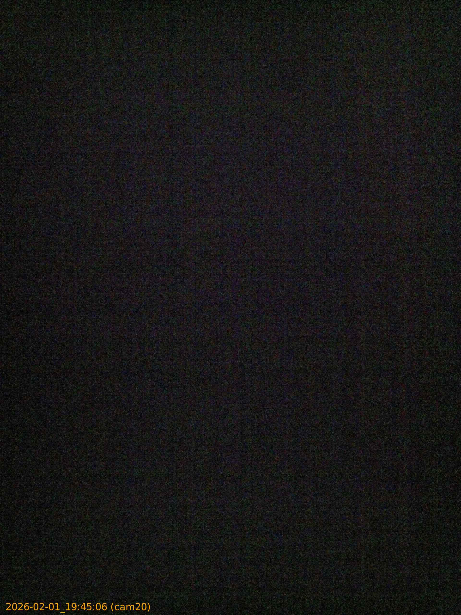 thumbnail_20260201194506