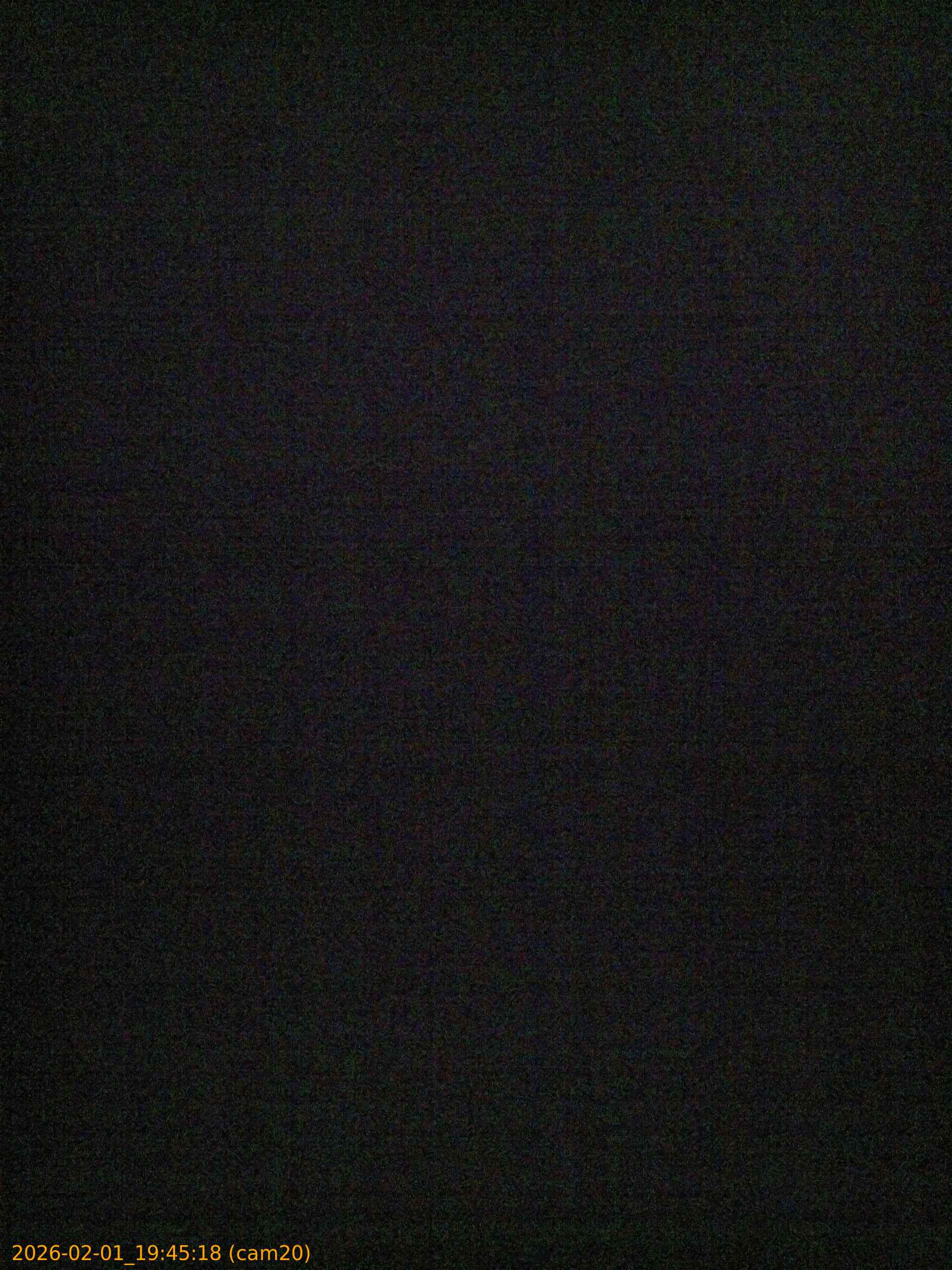 thumbnail_20260201194518