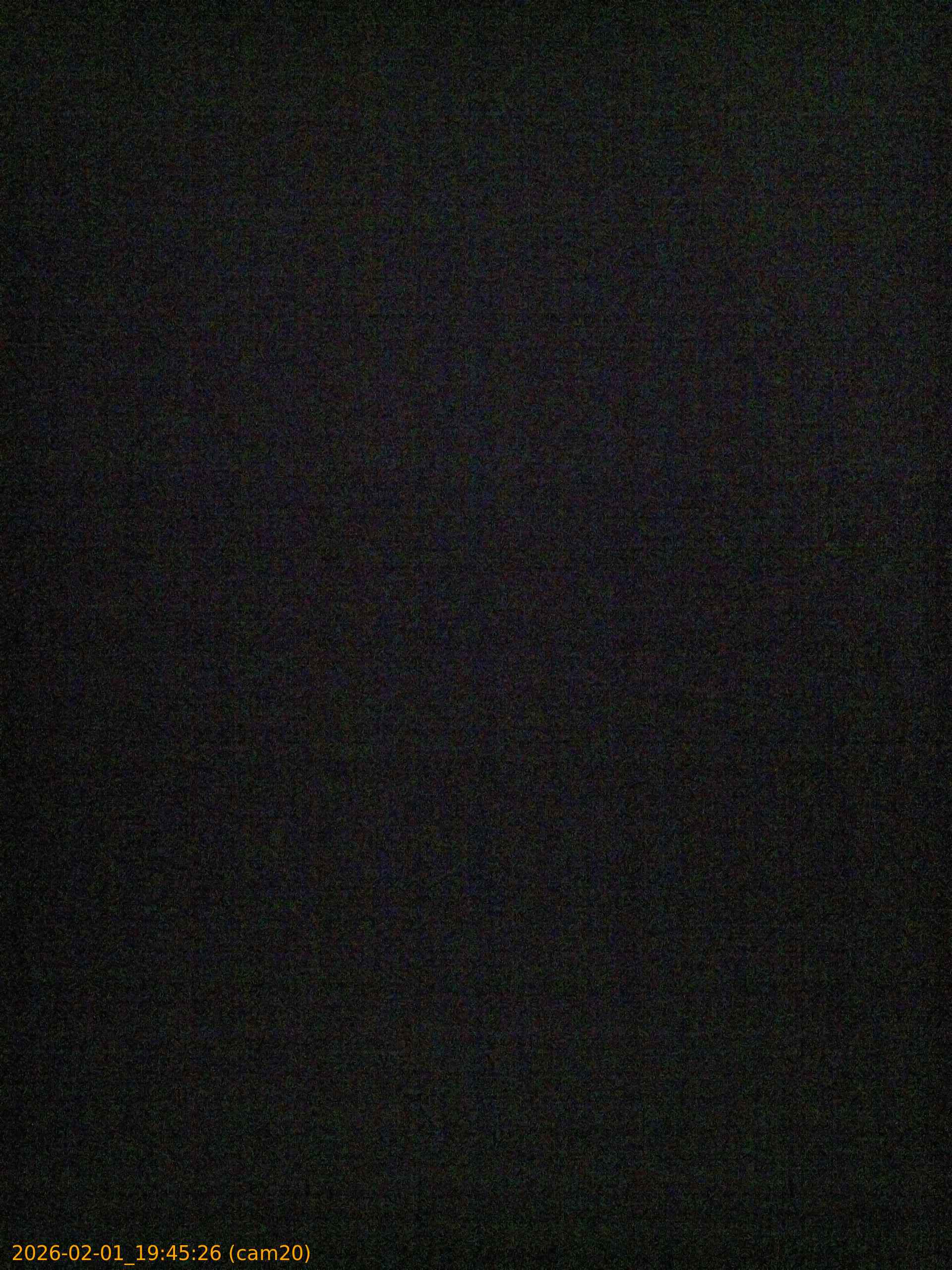 thumbnail_20260201194526