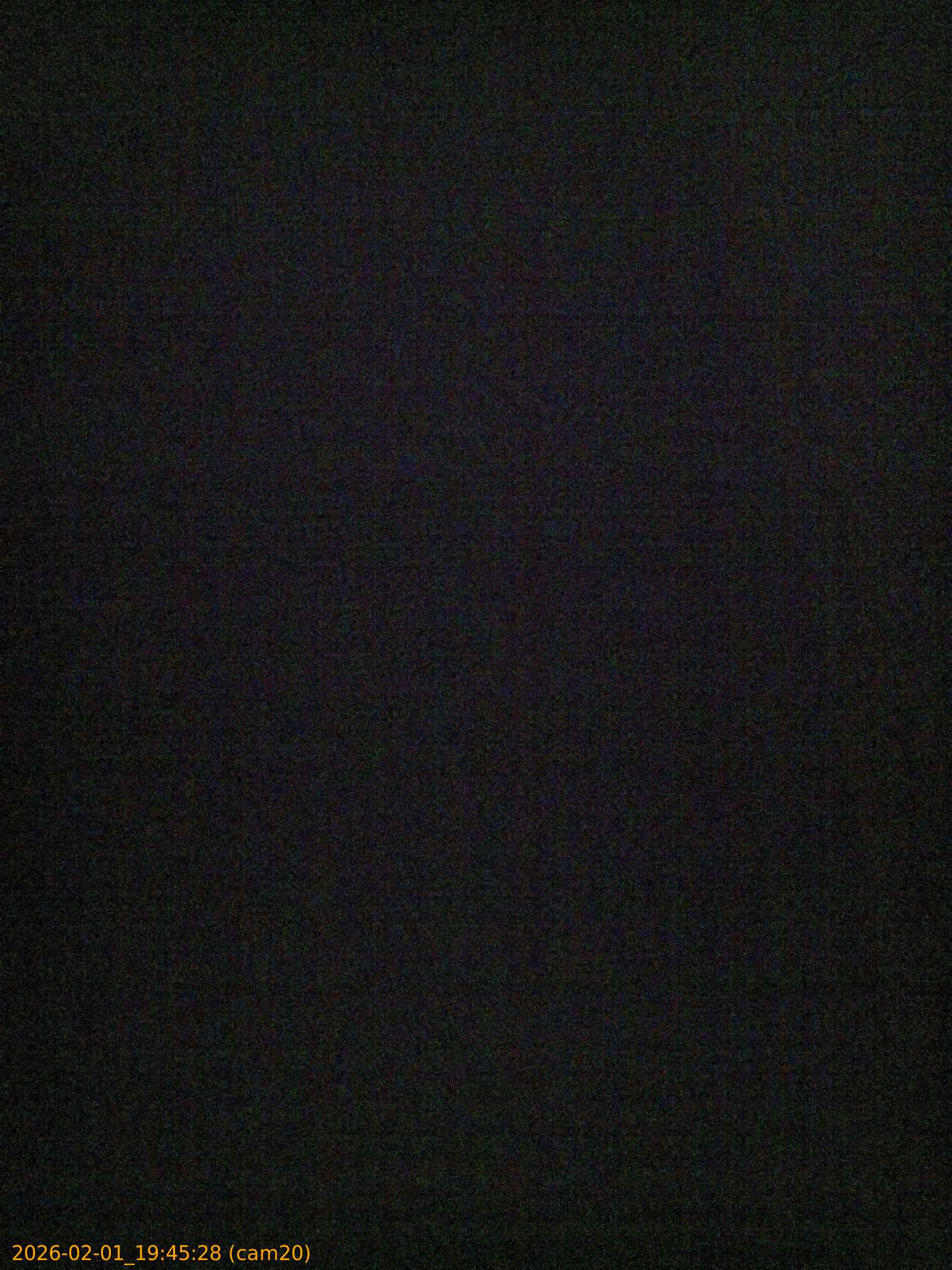 thumbnail_20260201194528