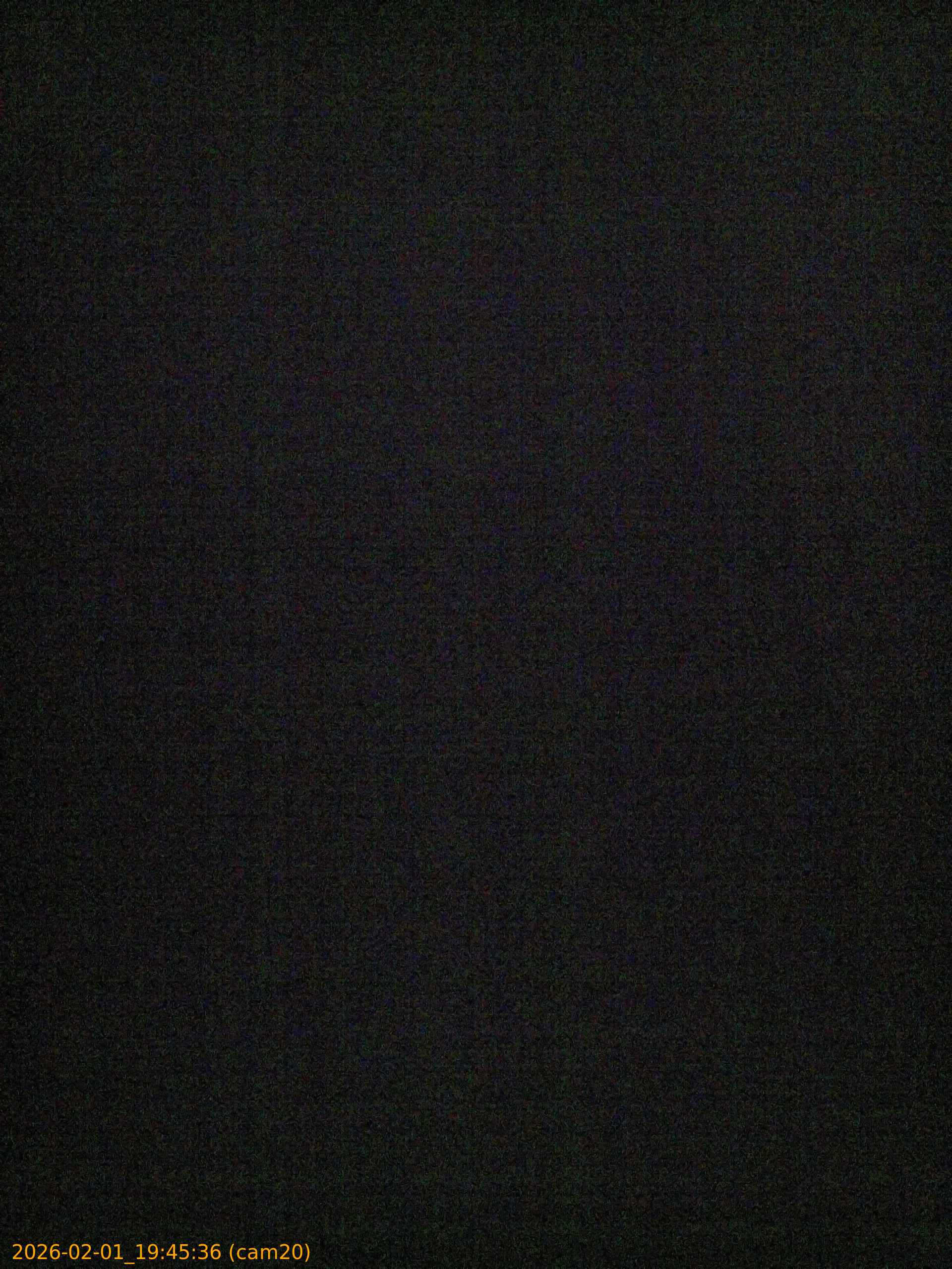 thumbnail_20260201194536