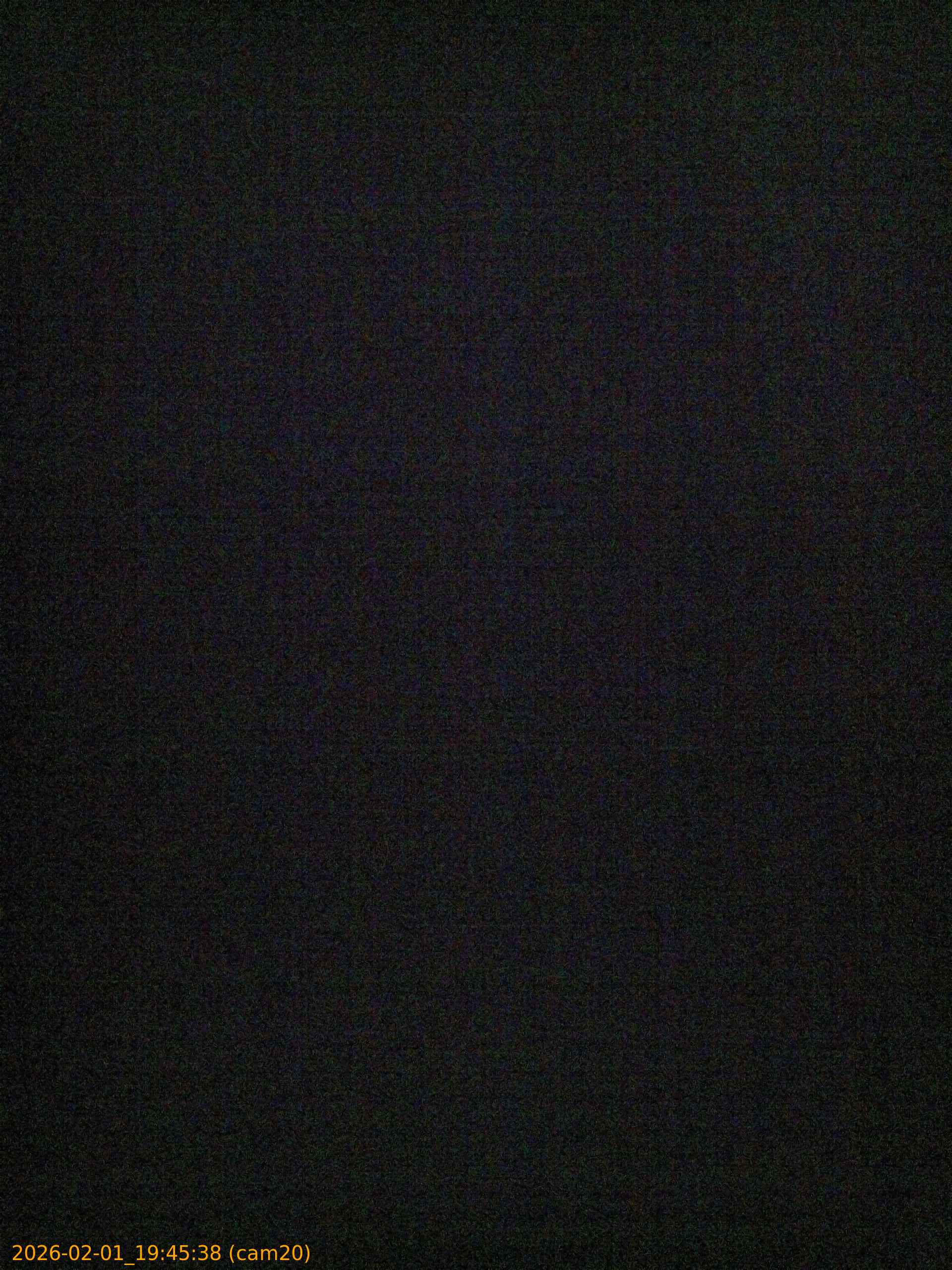 thumbnail_20260201194538