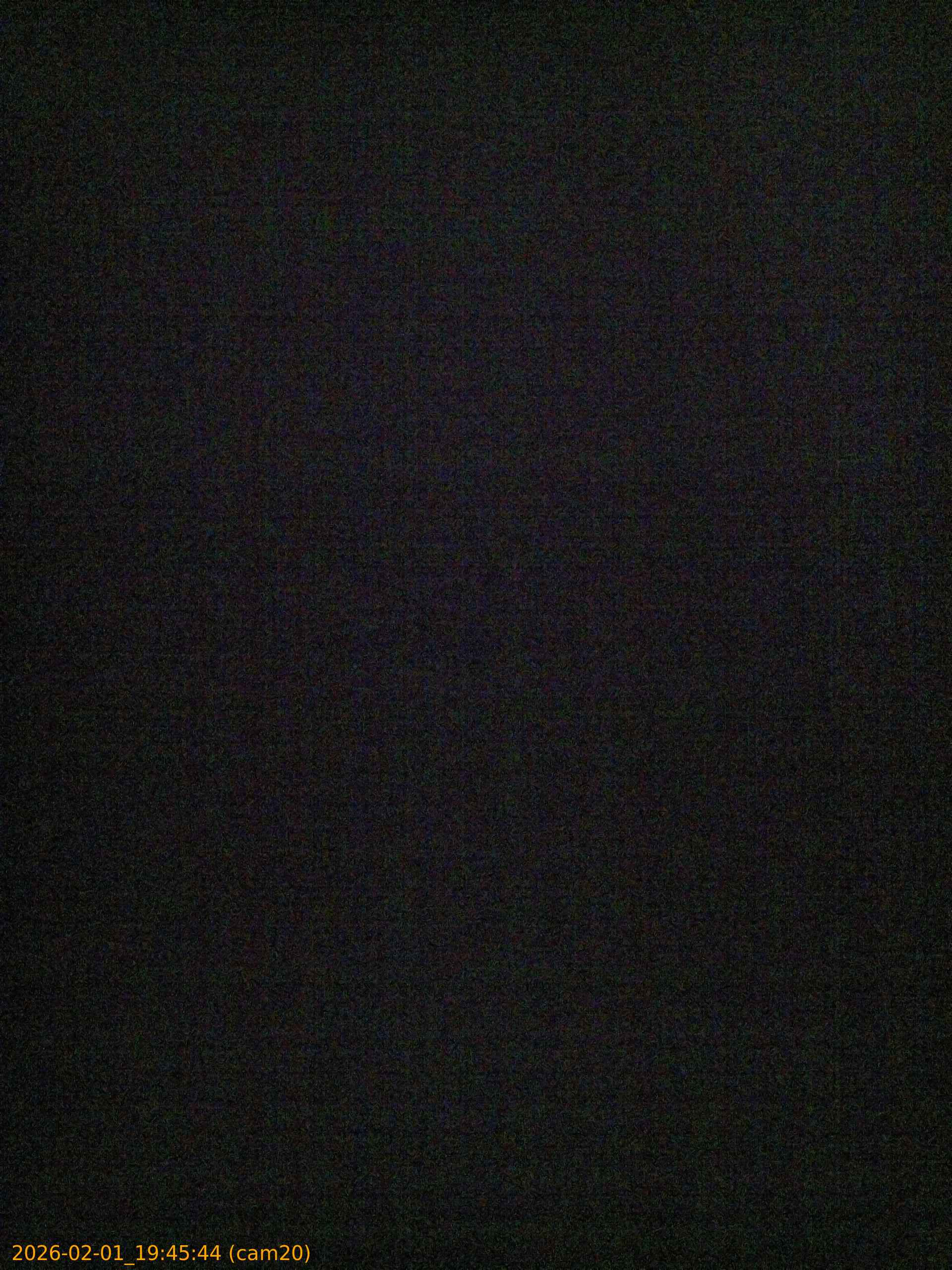 thumbnail_20260201194544