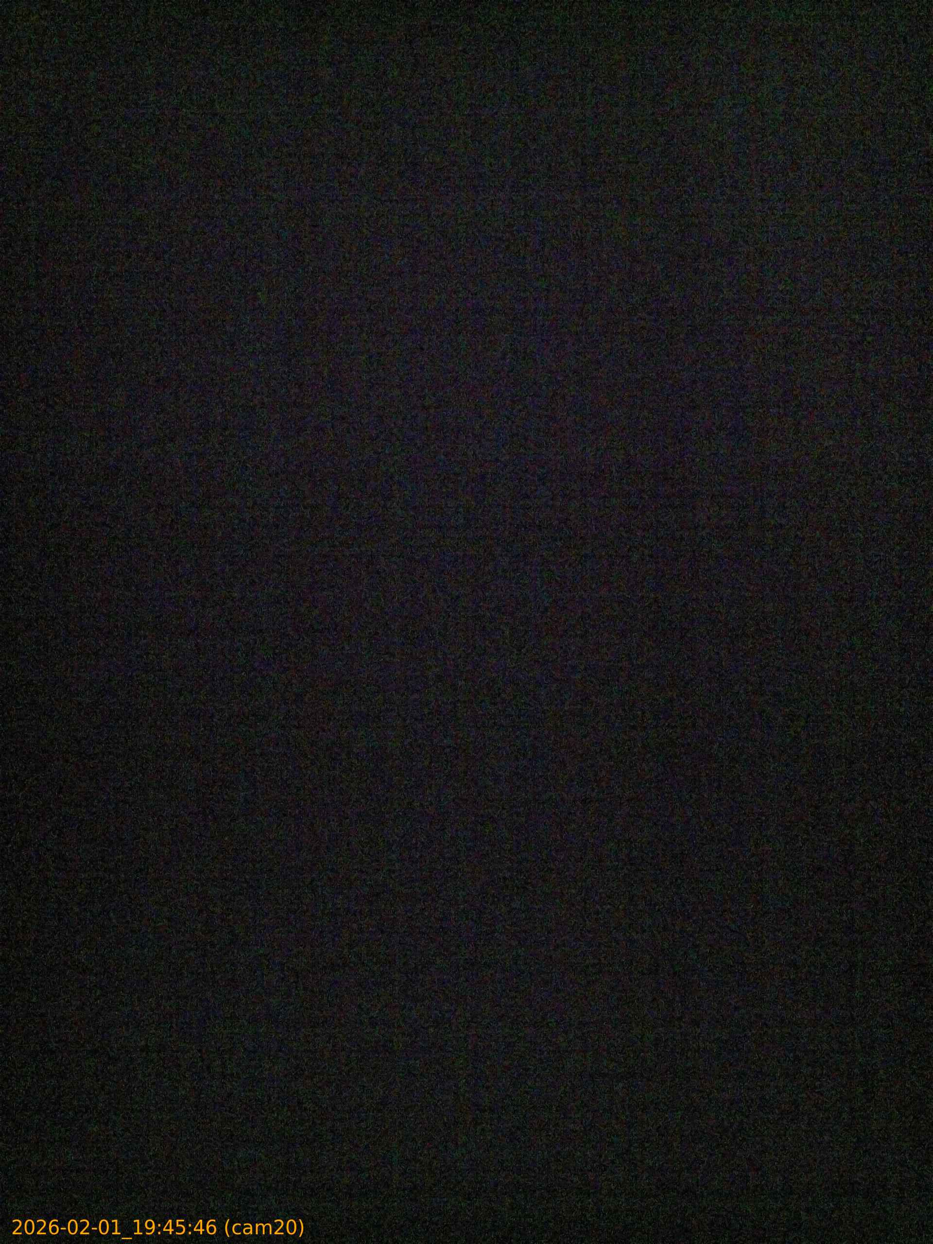 thumbnail_20260201194546