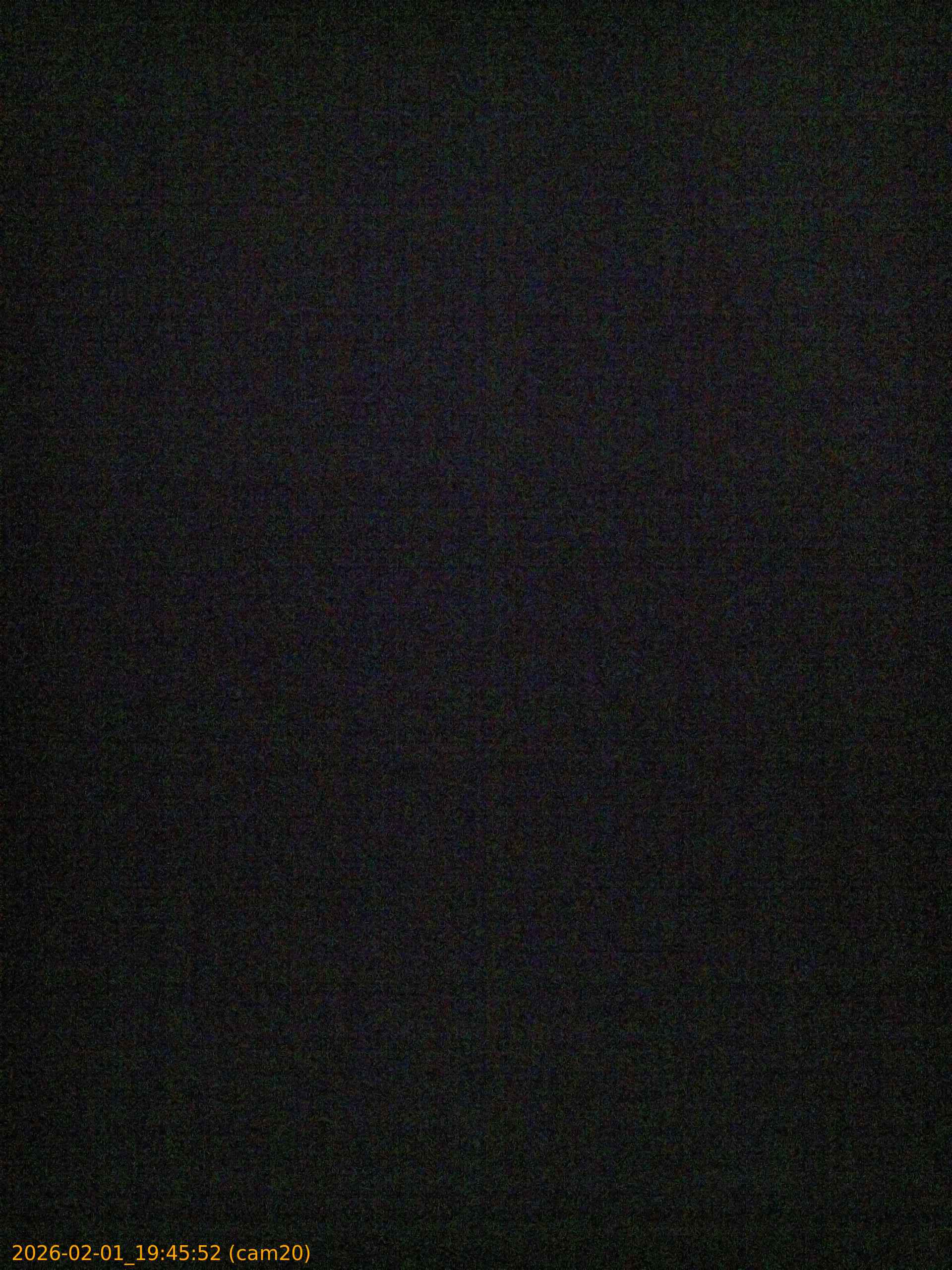 thumbnail_20260201194552