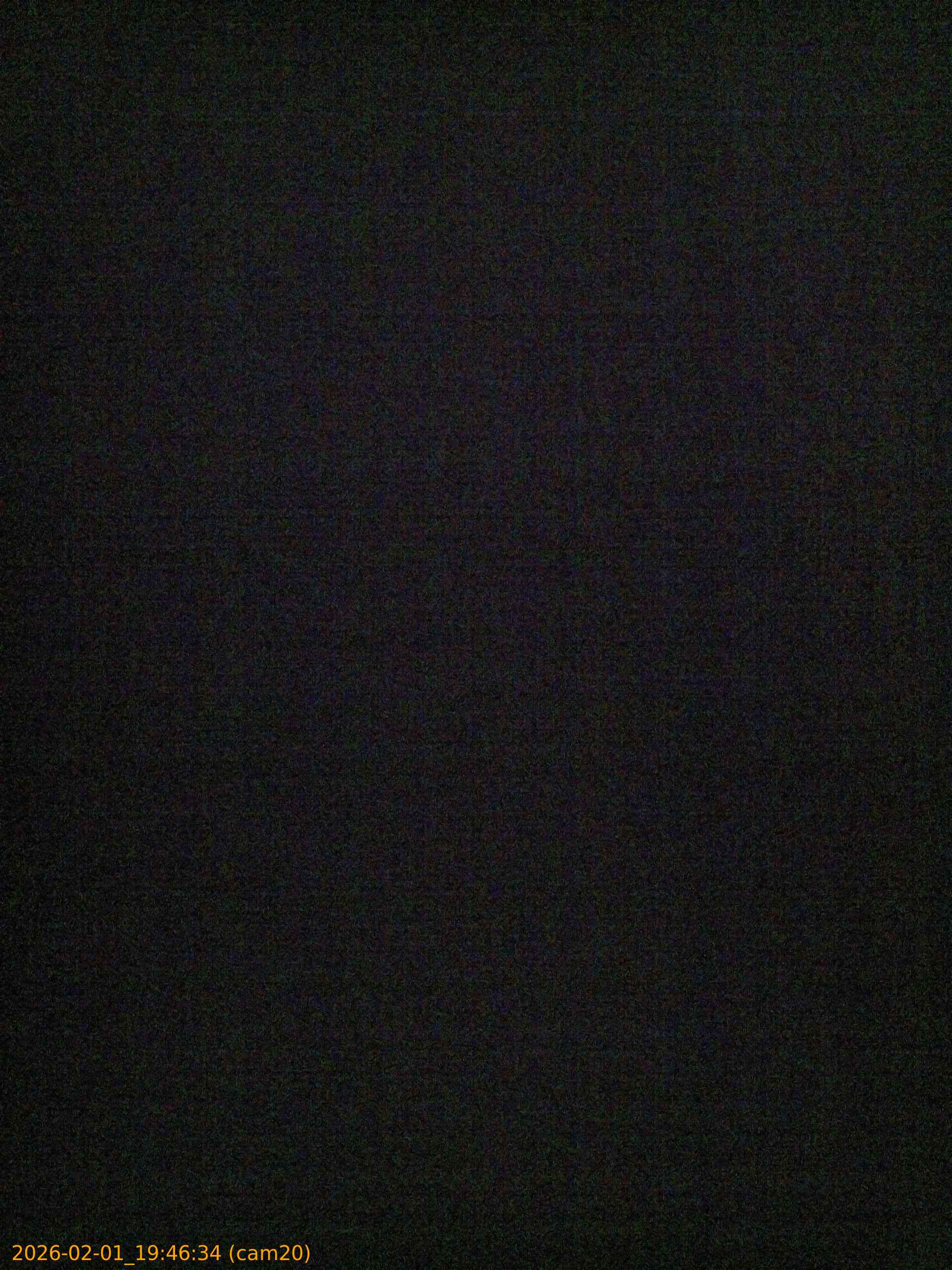 20260201194634
