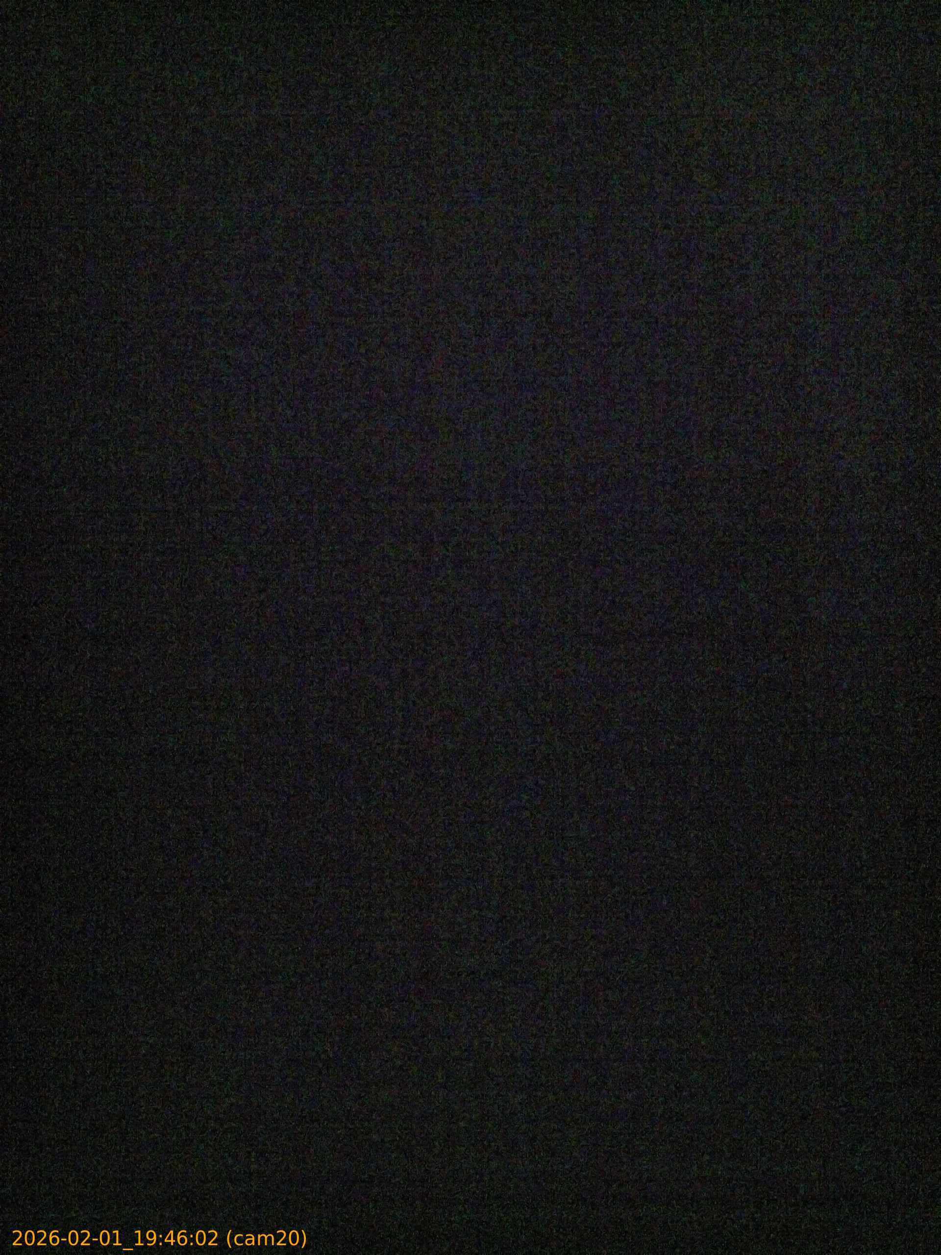 thumbnail_20260201194602