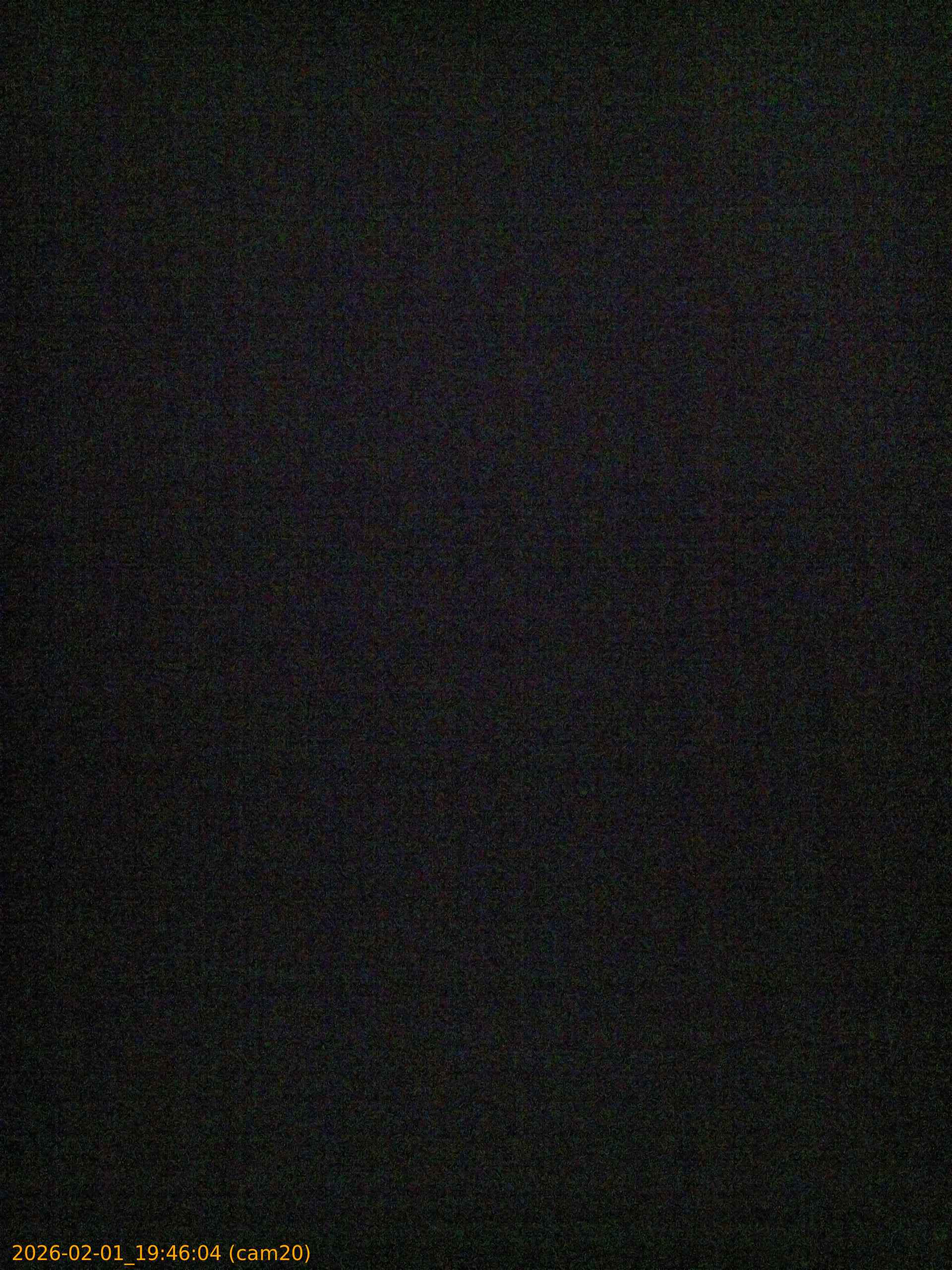 thumbnail_20260201194604