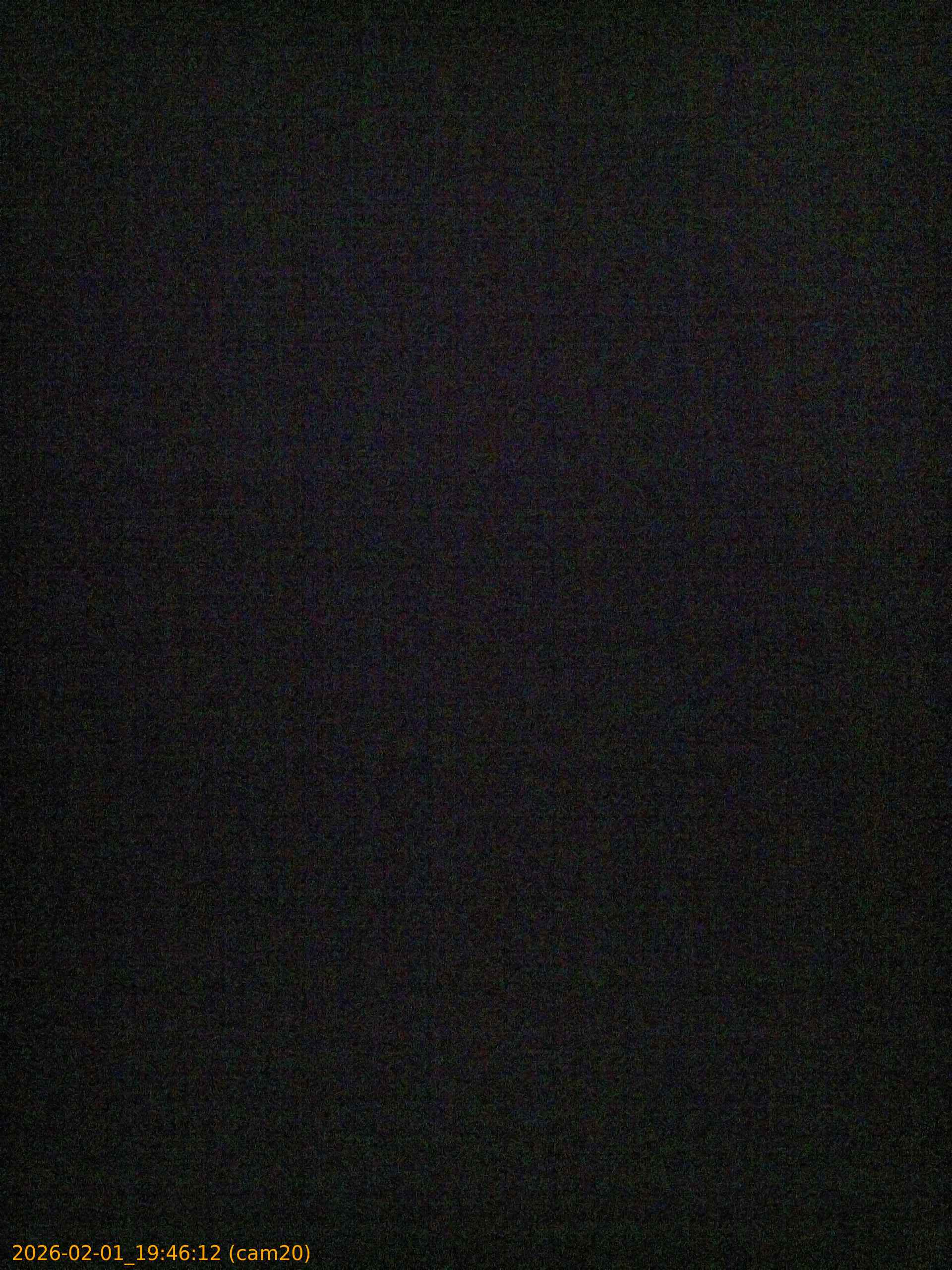 thumbnail_20260201194612