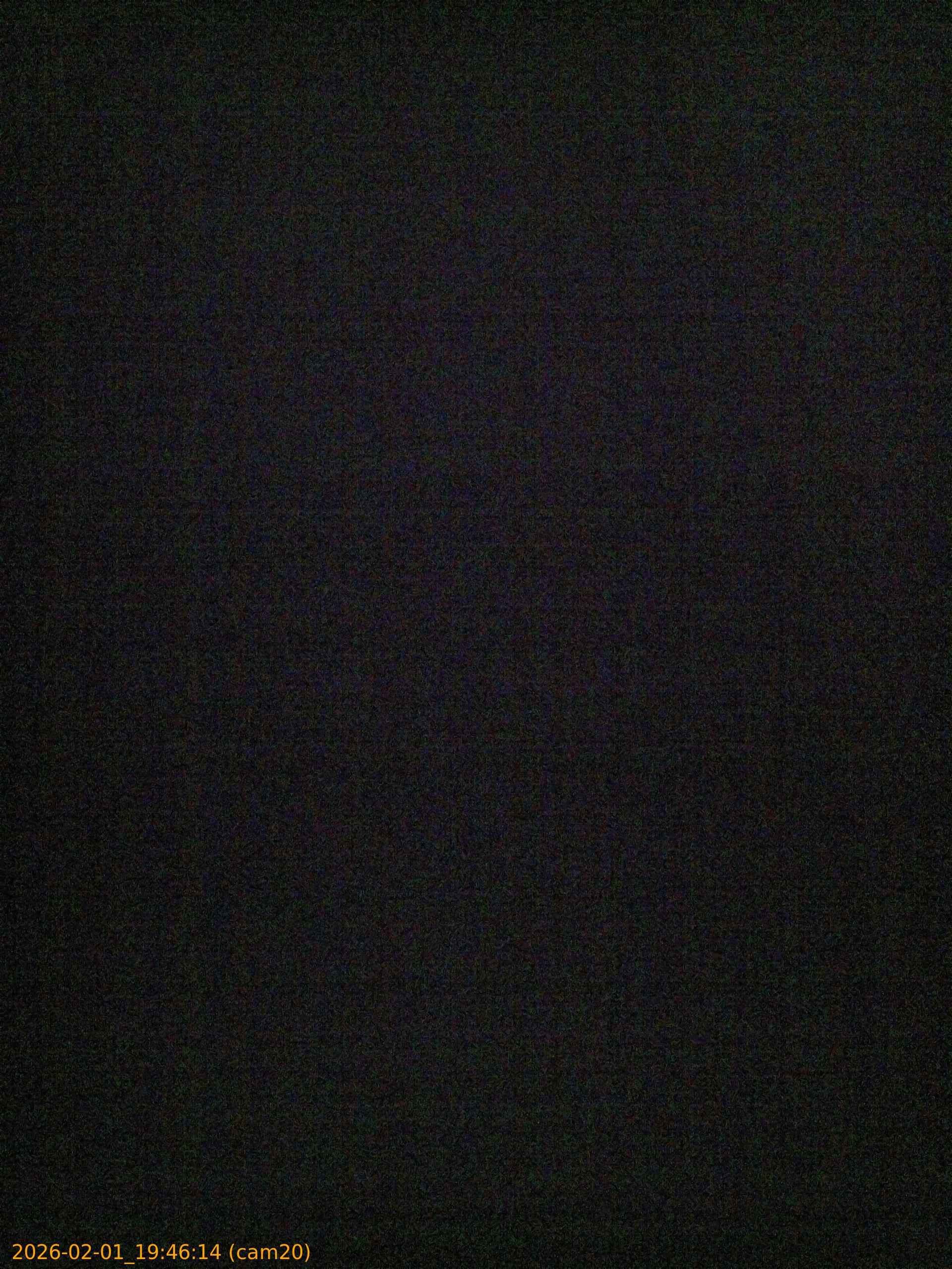 thumbnail_20260201194614