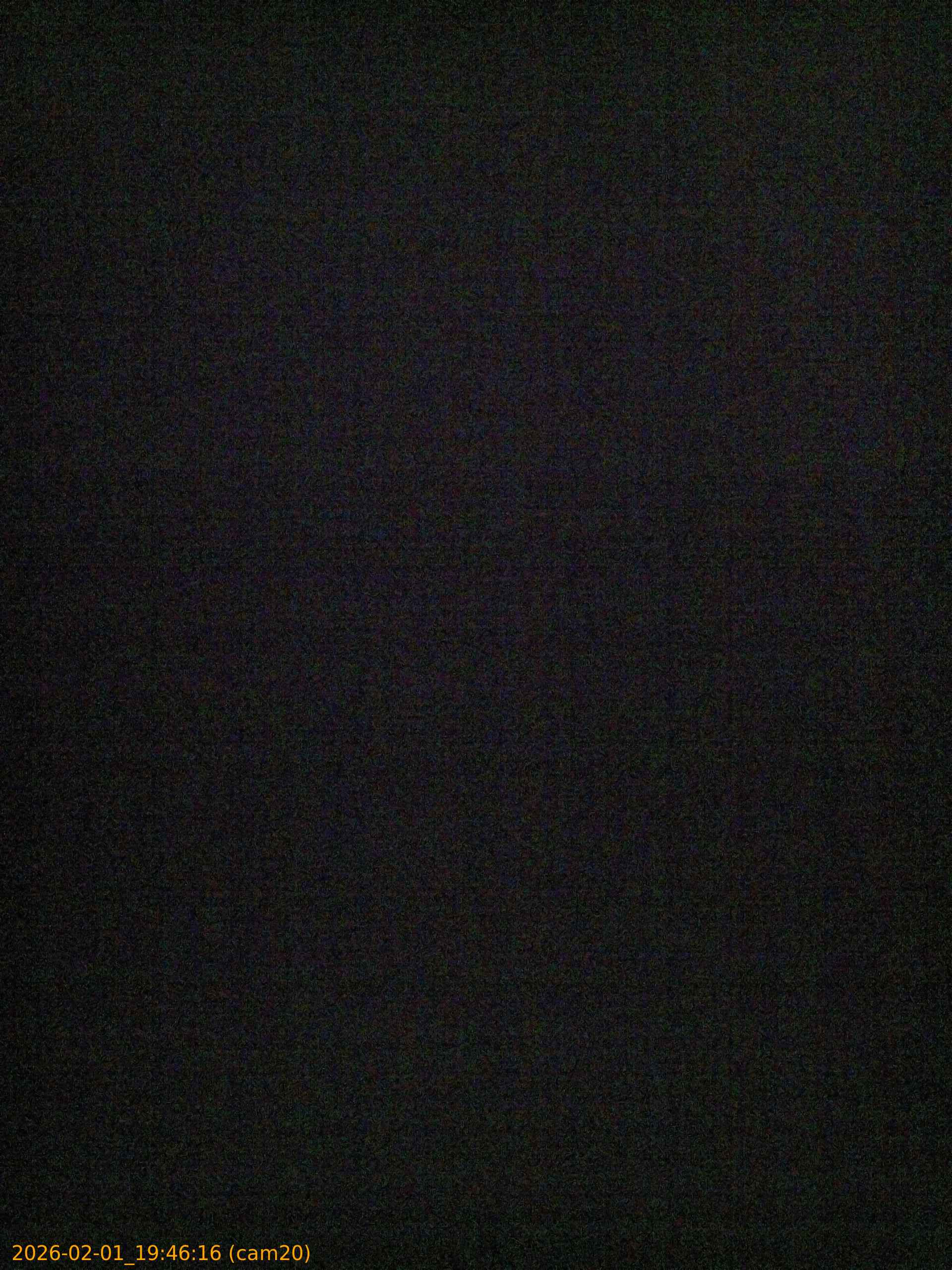 thumbnail_20260201194616