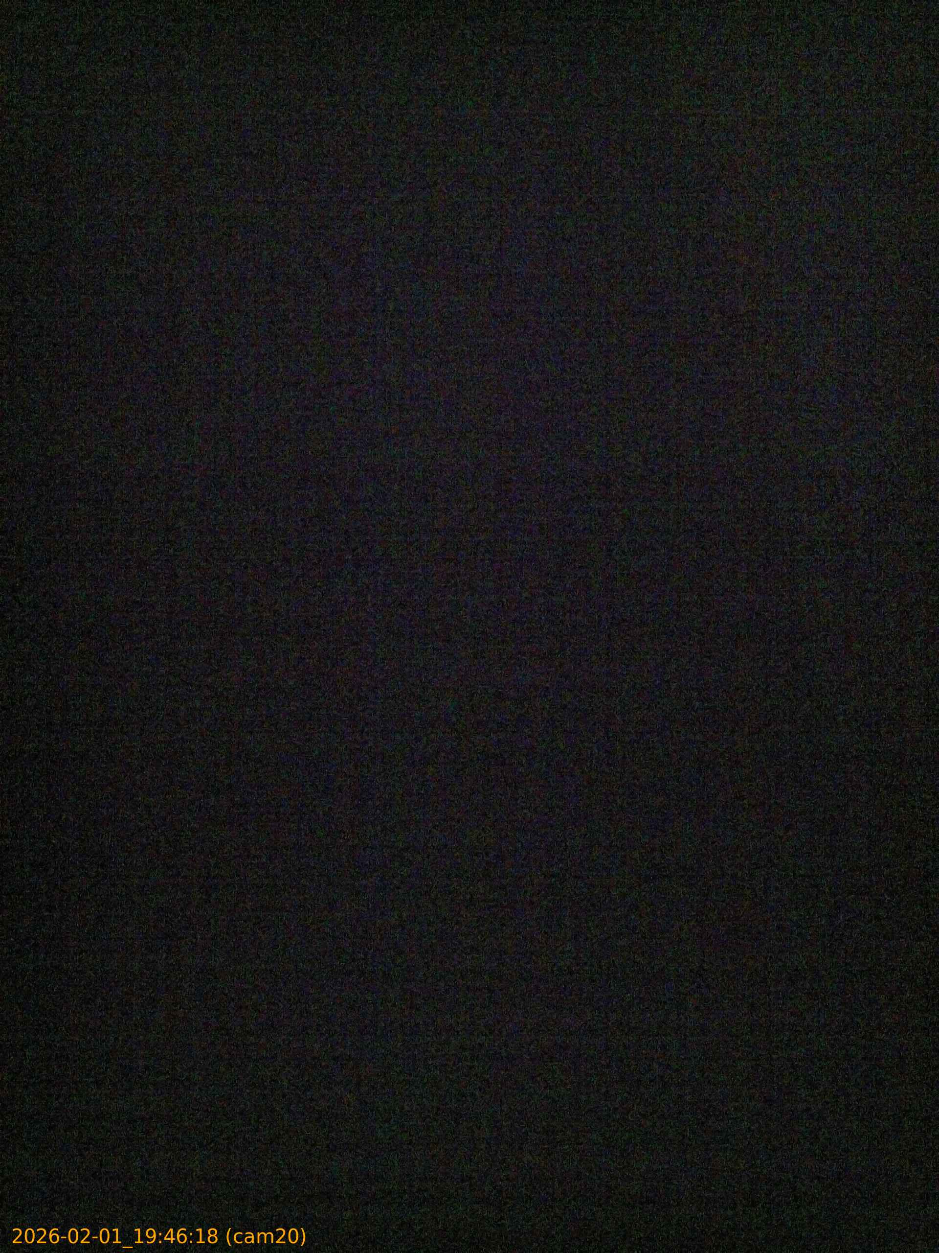 thumbnail_20260201194618