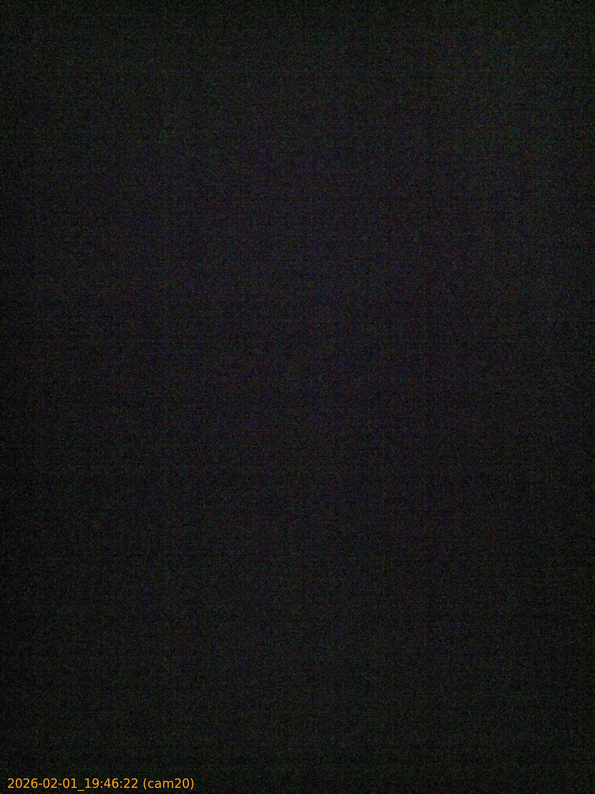 thumbnail_20260201194622