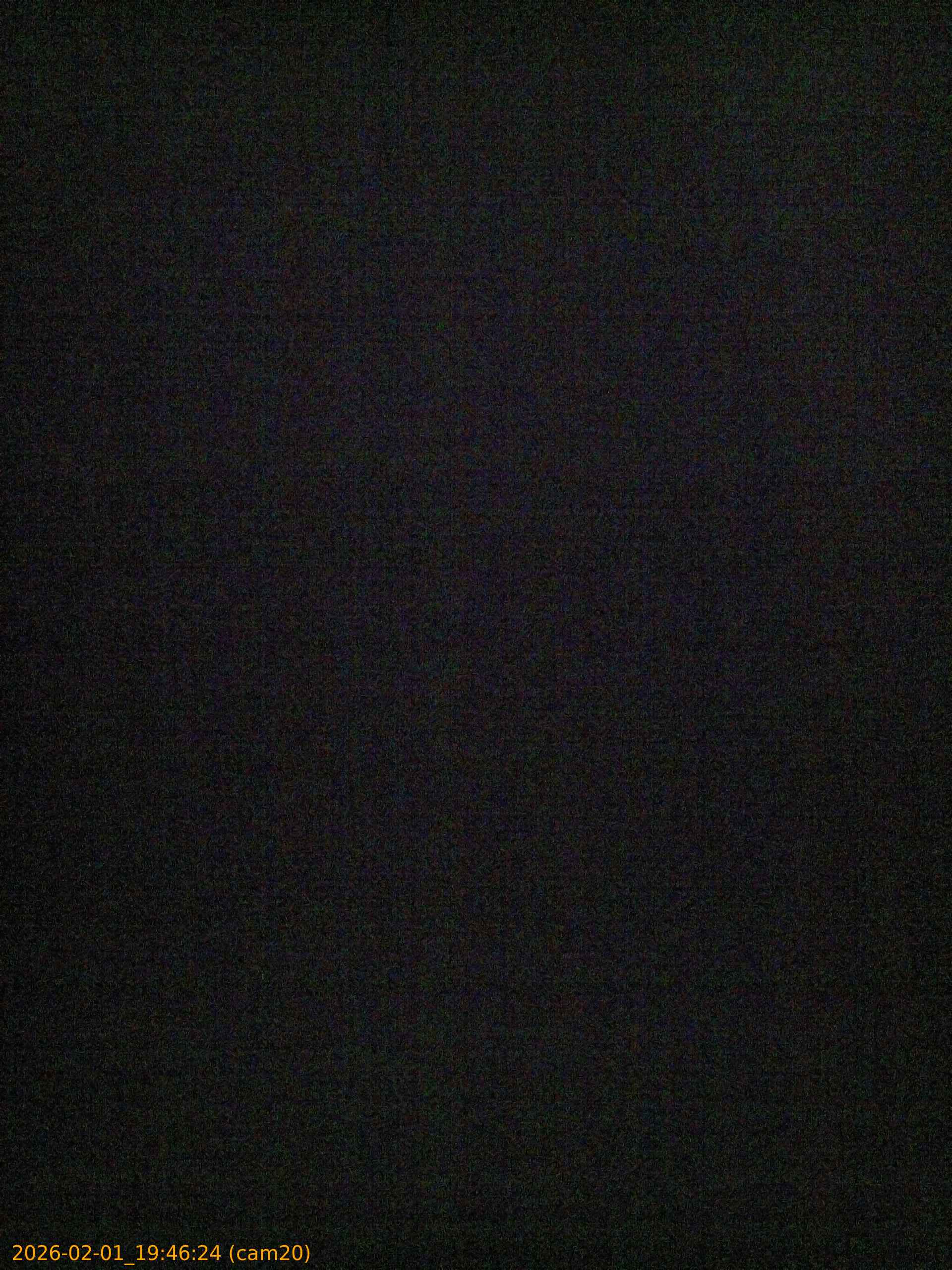 thumbnail_20260201194624