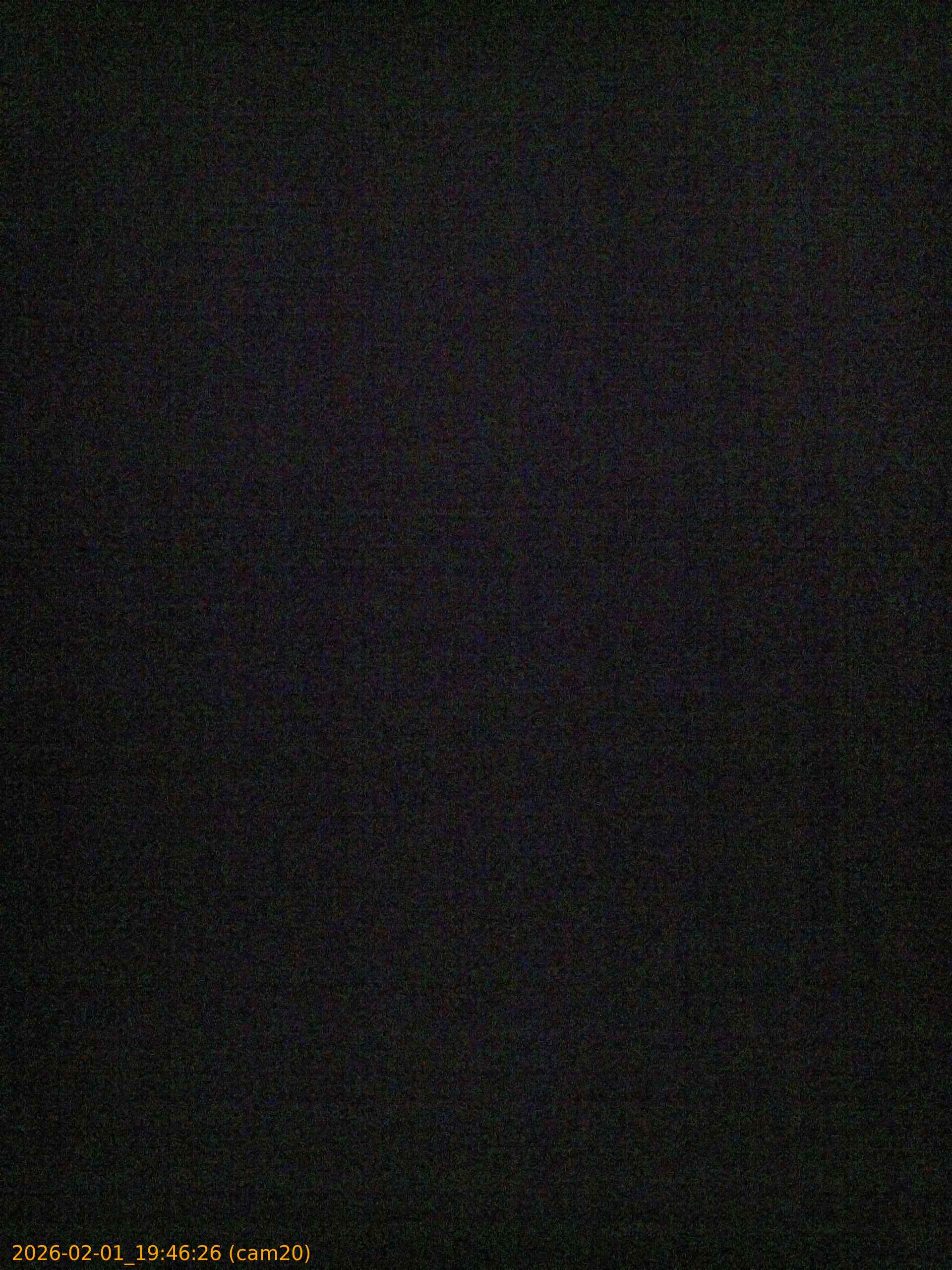 thumbnail_20260201194626