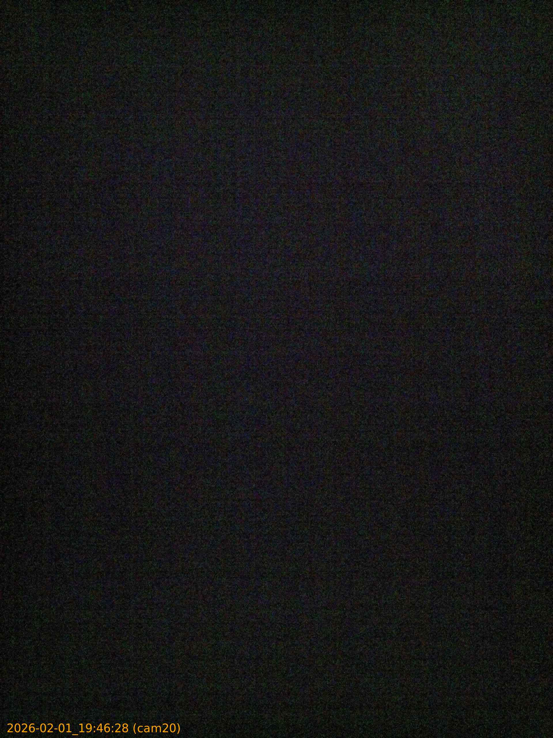 thumbnail_20260201194628