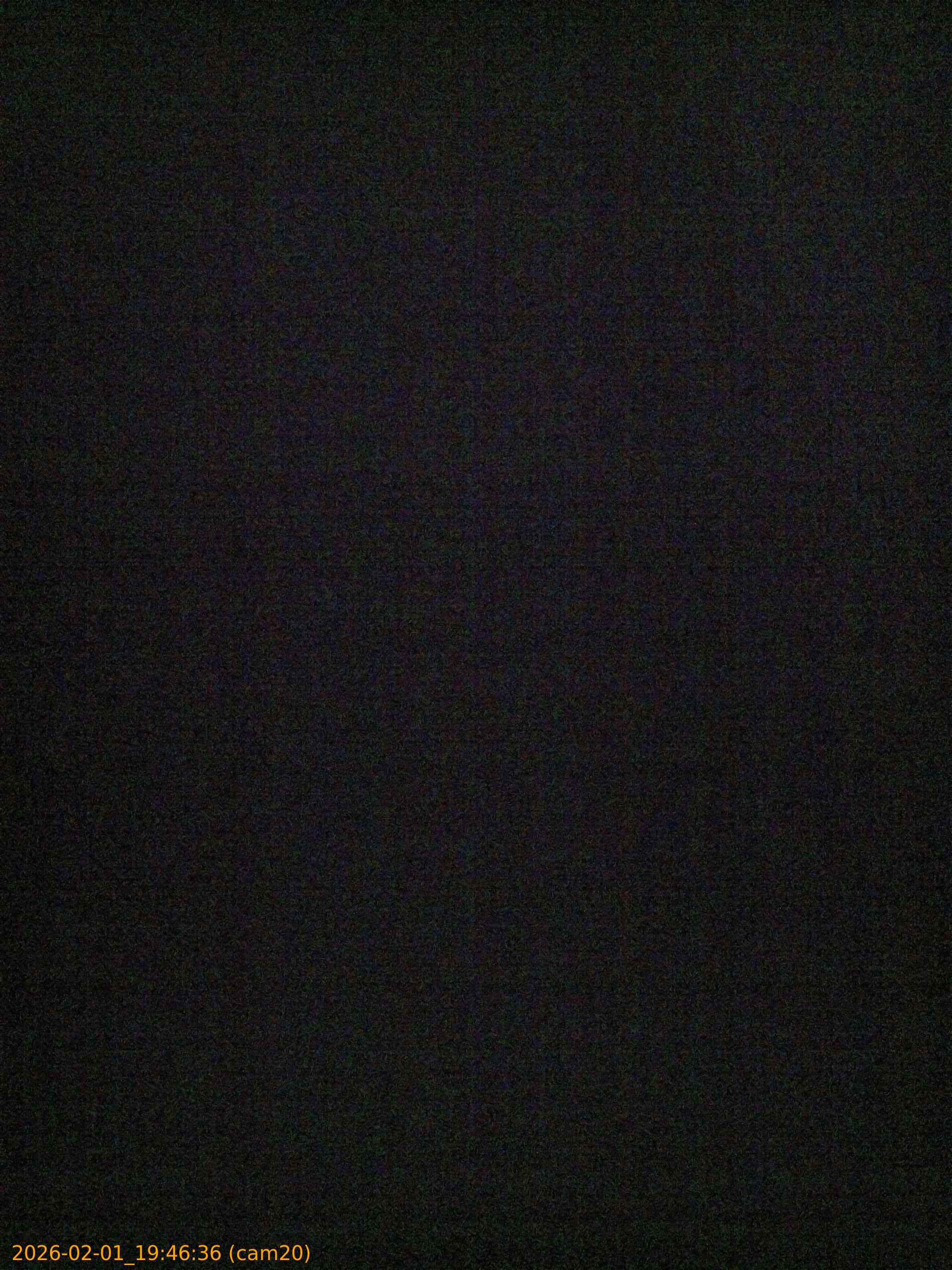 thumbnail_20260201194636