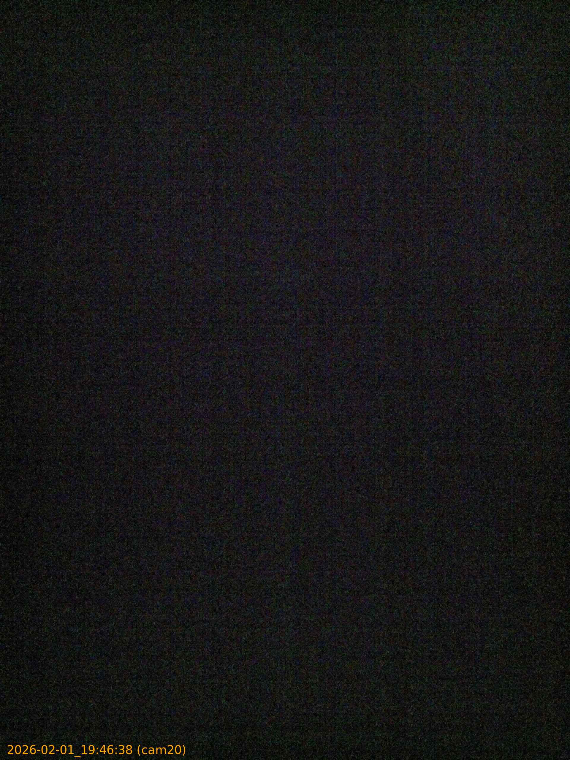 thumbnail_20260201194638