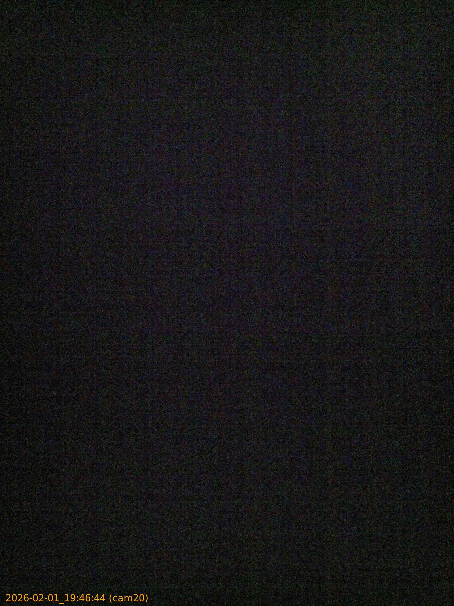 thumbnail_20260201194644