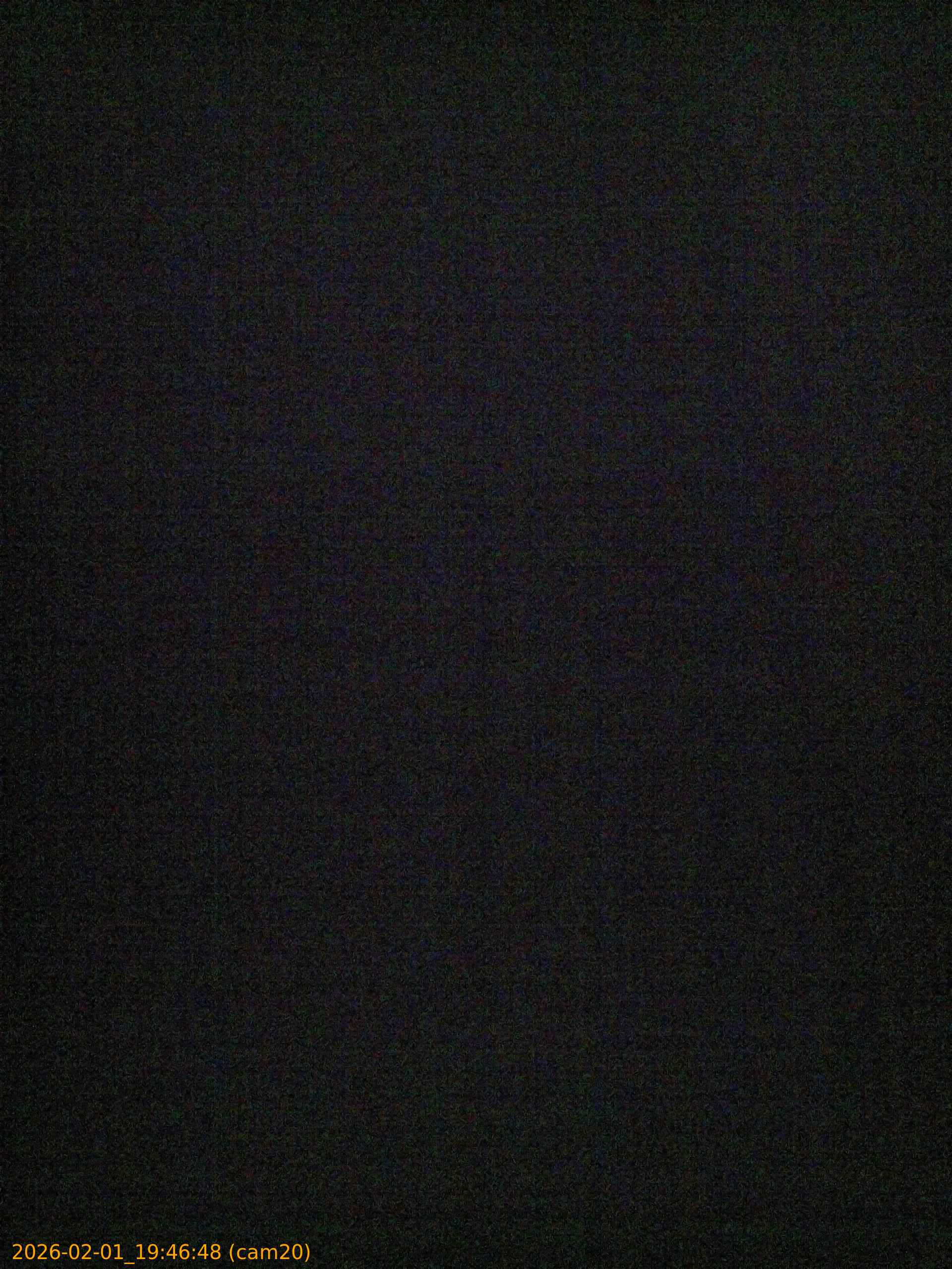 thumbnail_20260201194648