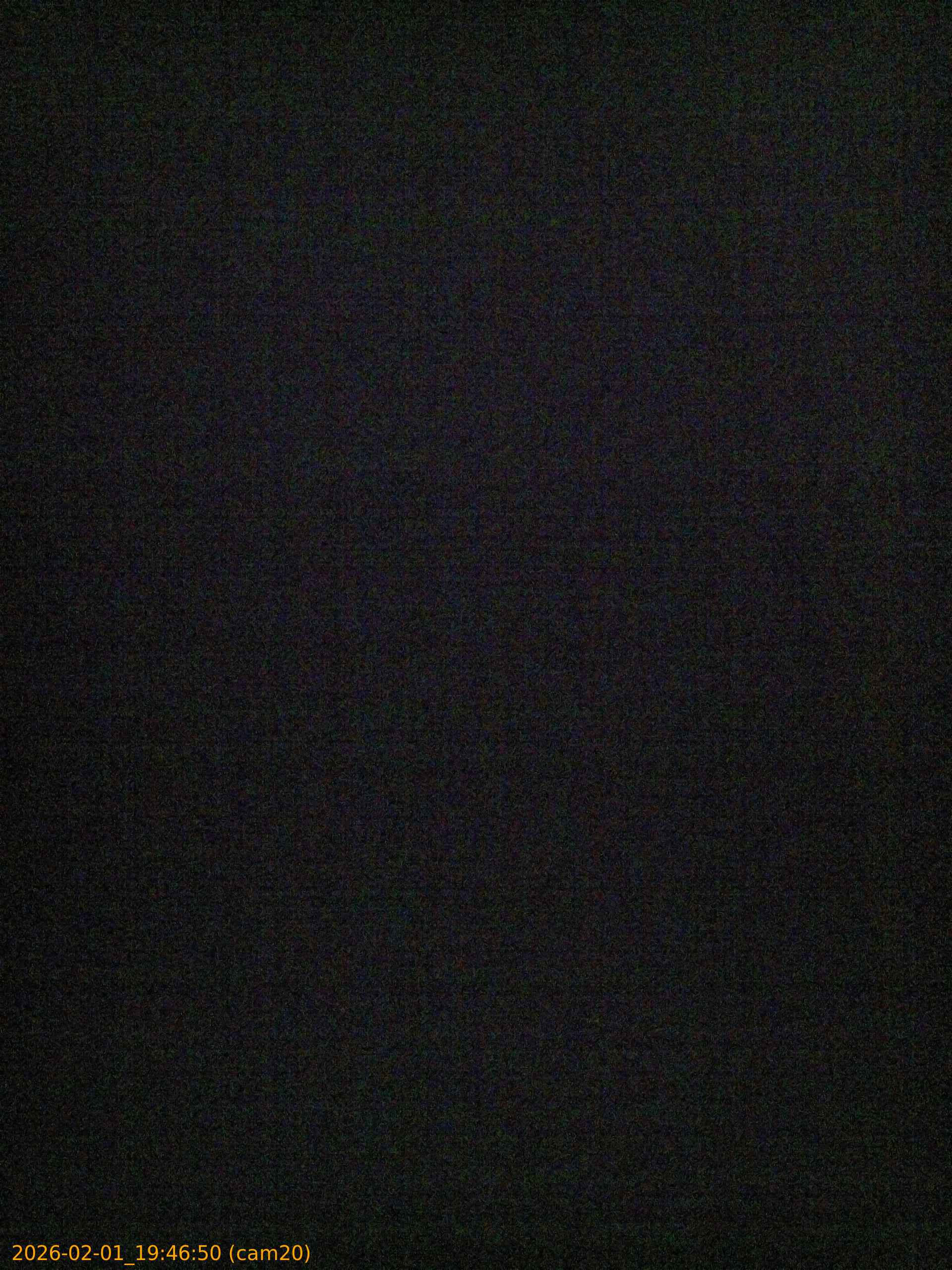 thumbnail_20260201194650