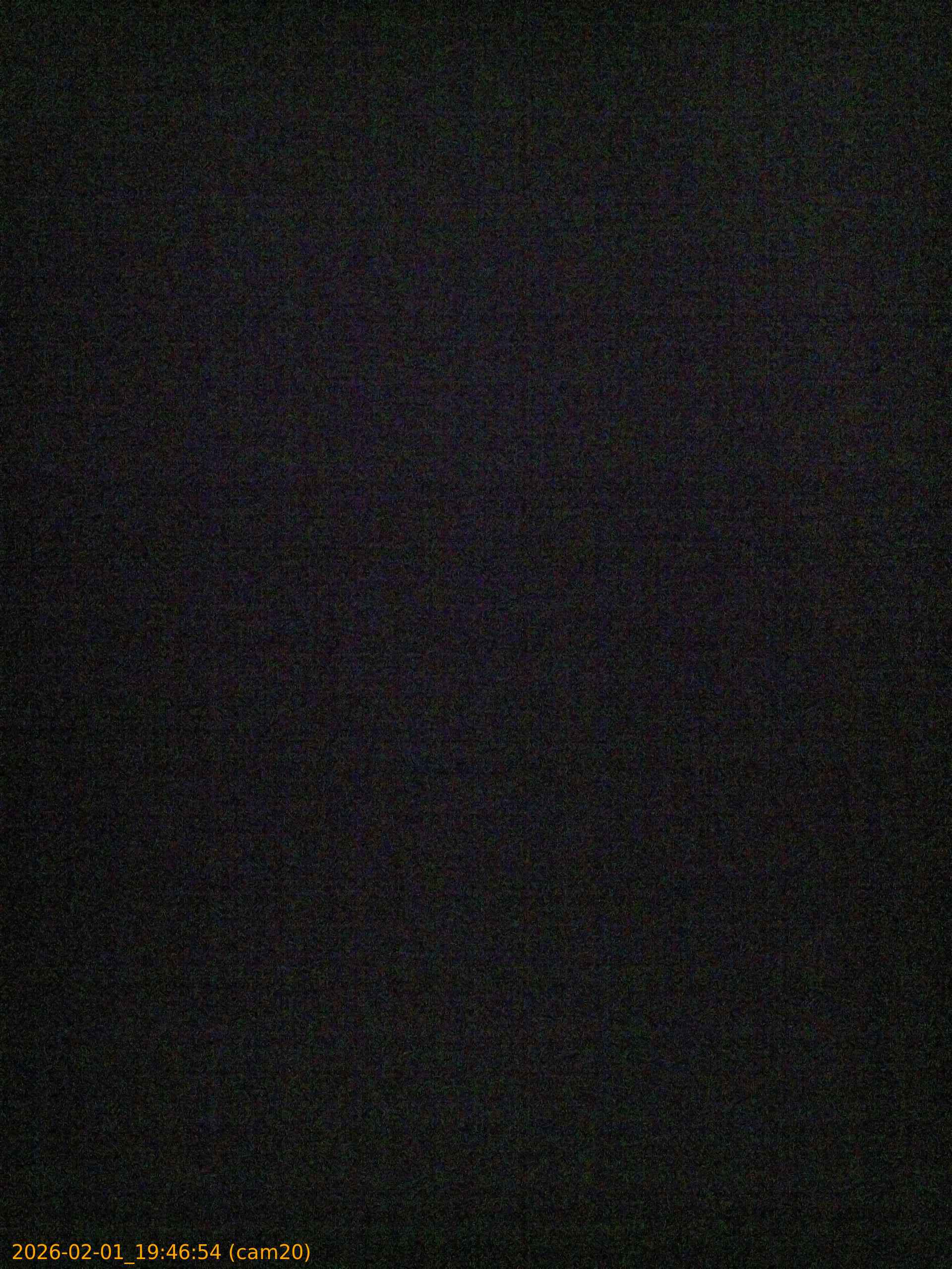 thumbnail_20260201194654