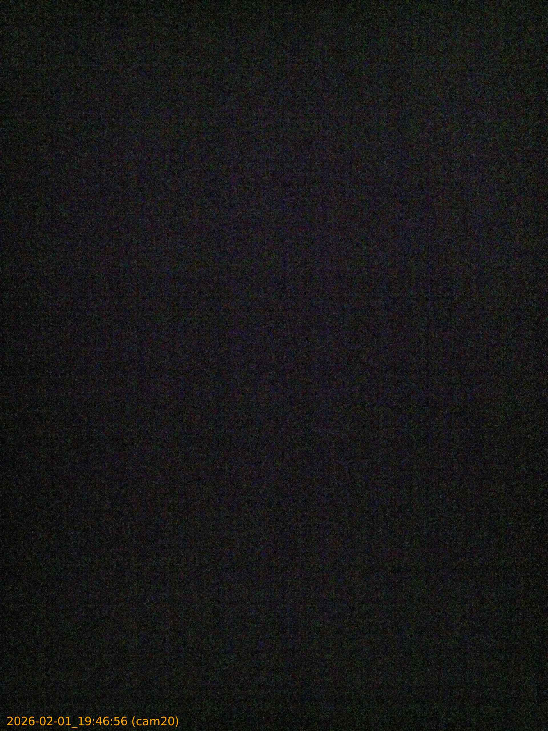 thumbnail_20260201194656