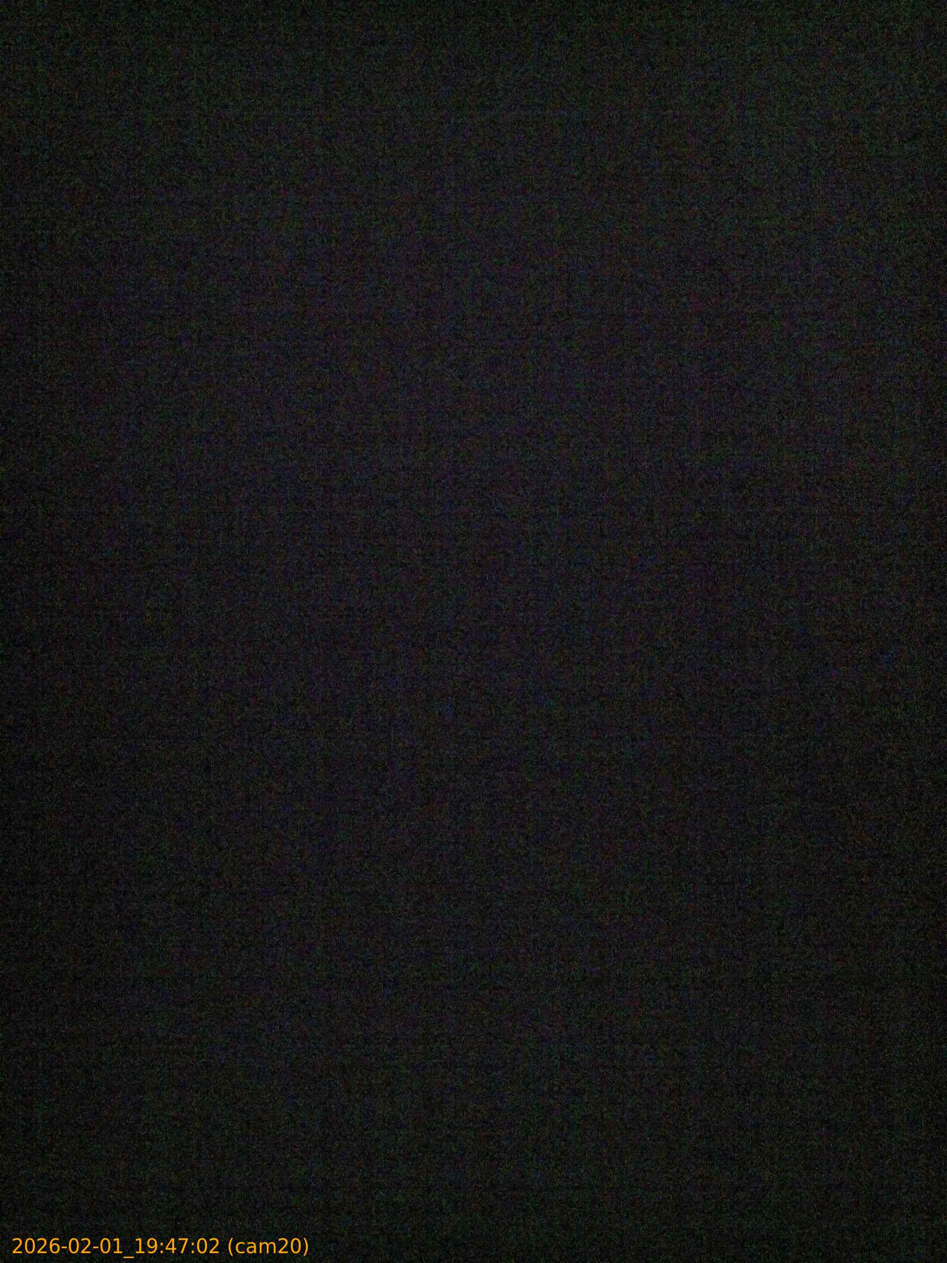 thumbnail_20260201194702