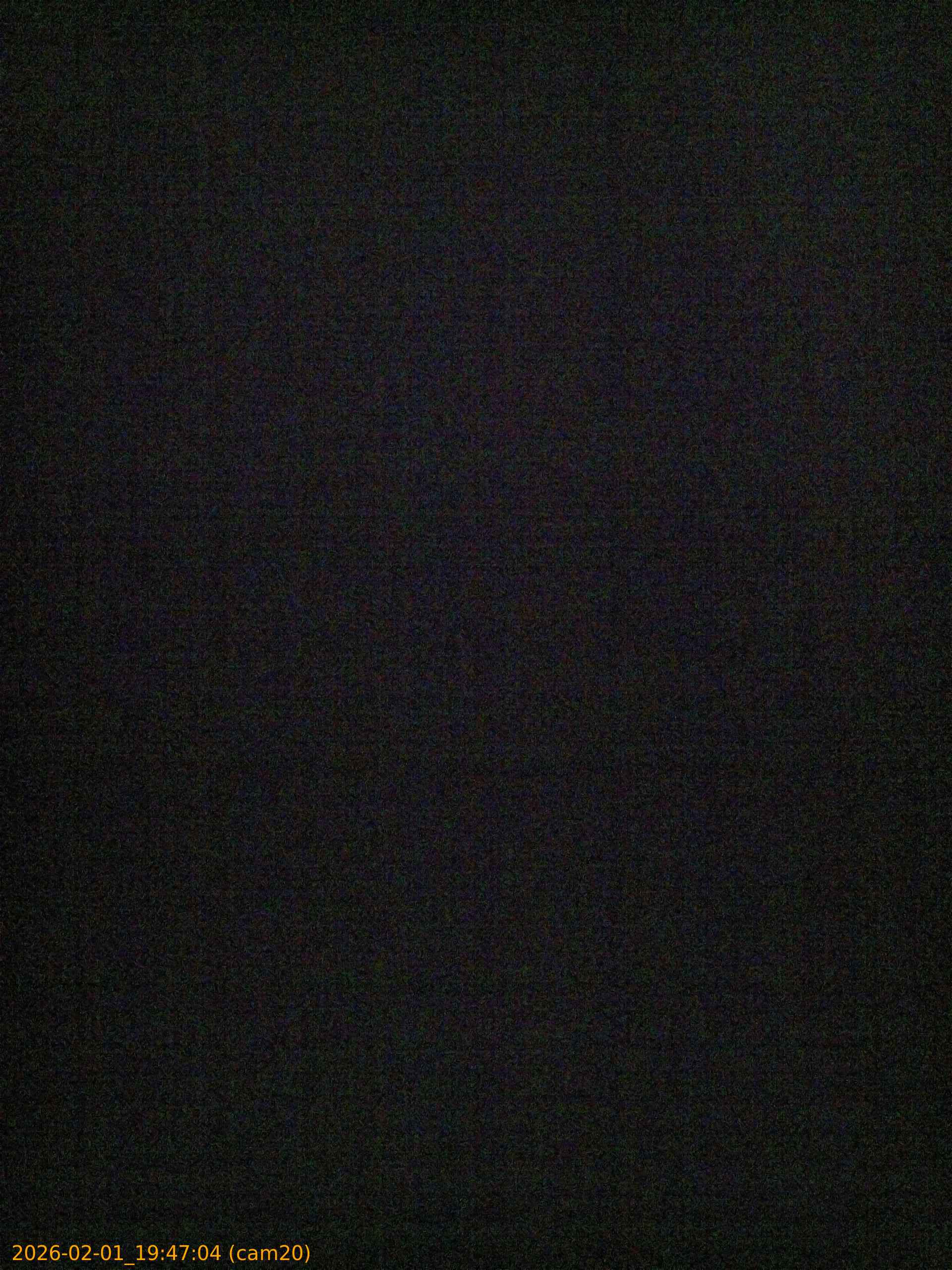 thumbnail_20260201194704