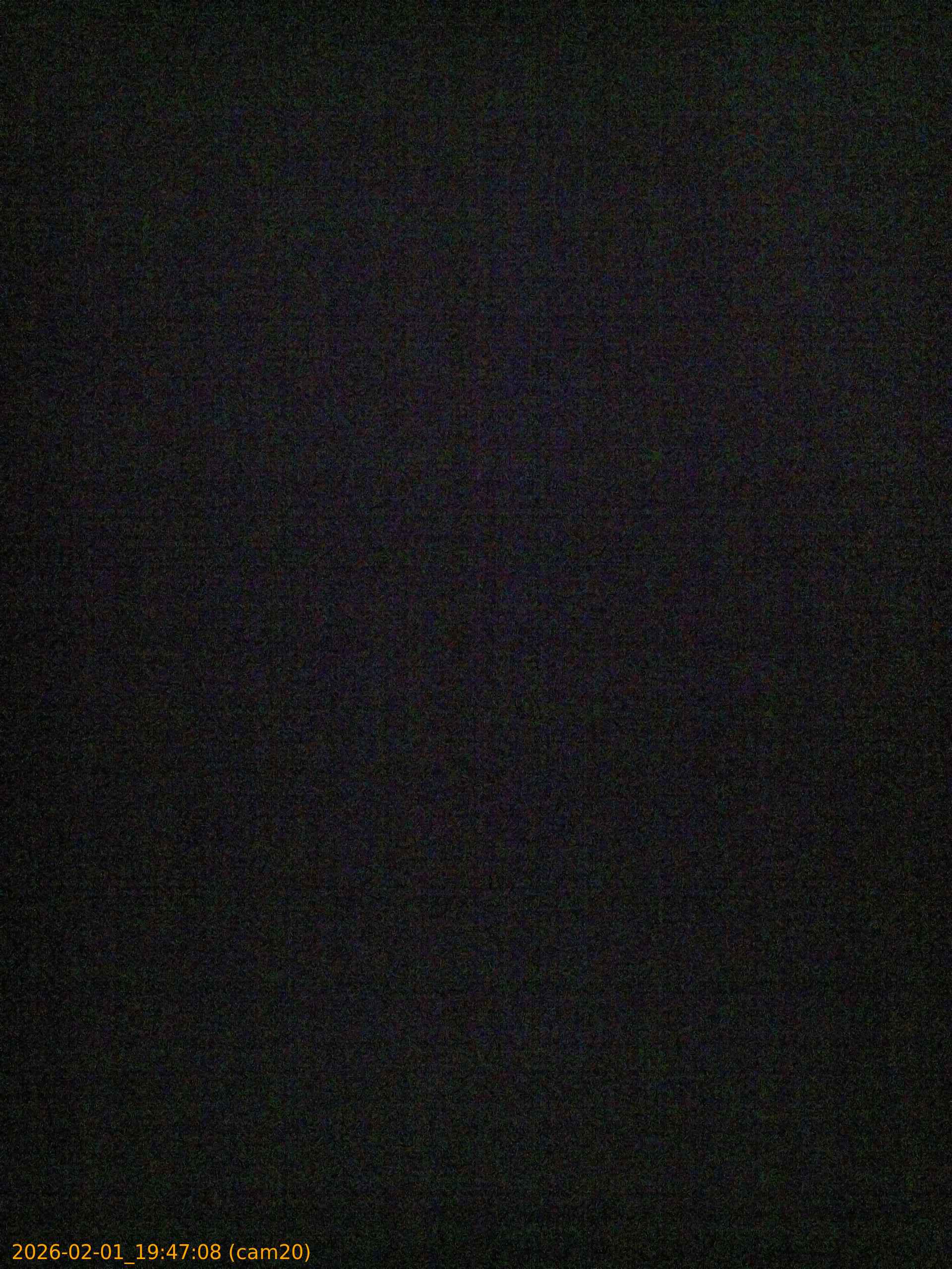 thumbnail_20260201194708