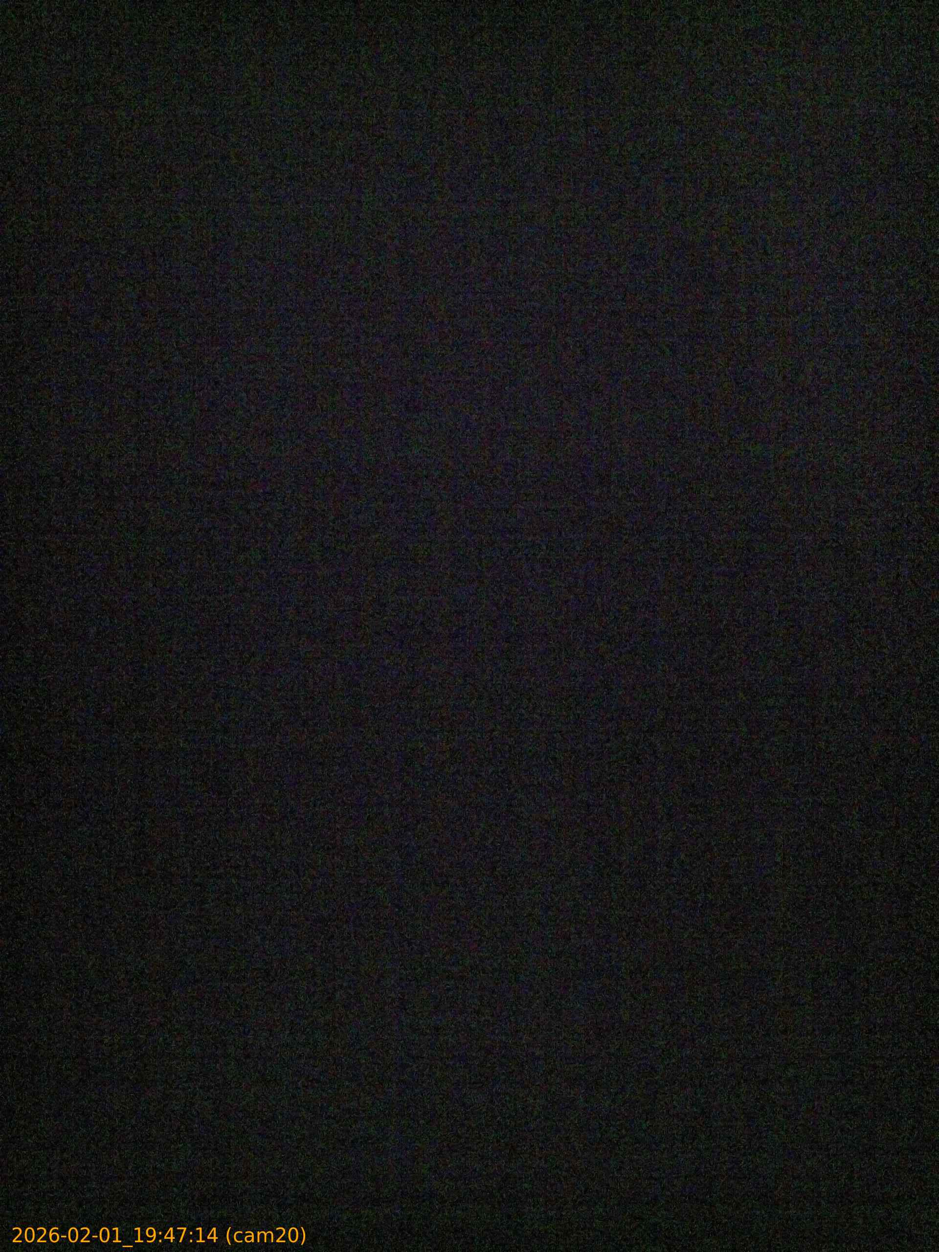 thumbnail_20260201194714