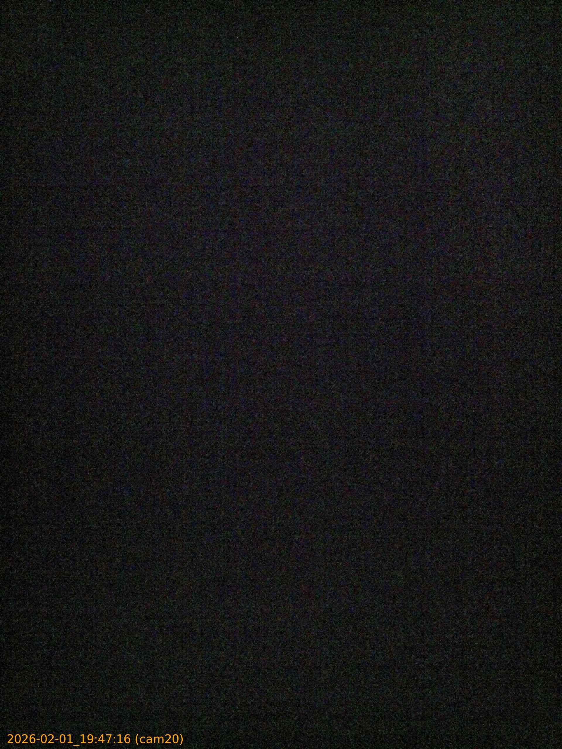 thumbnail_20260201194716