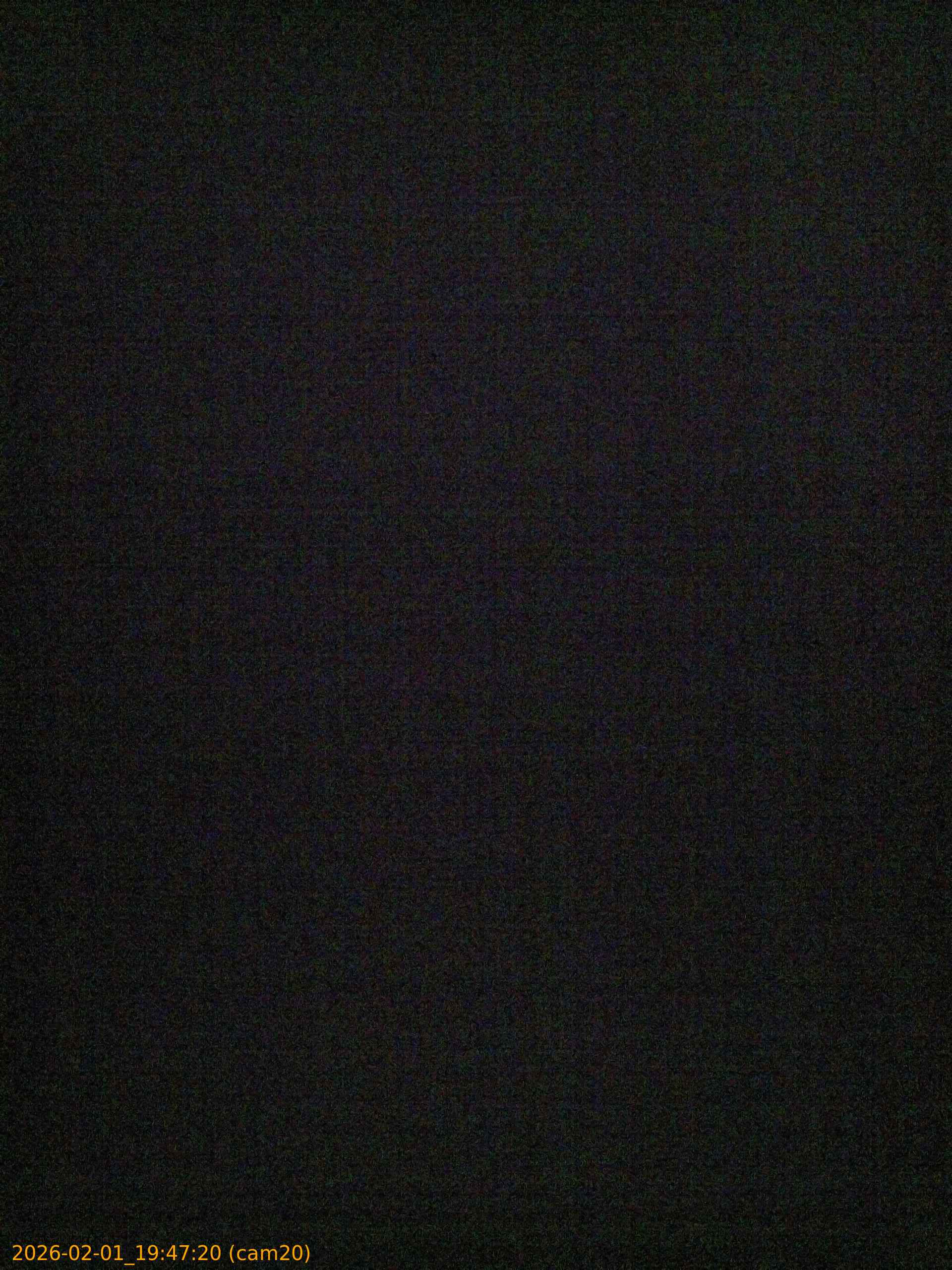 thumbnail_20260201194720