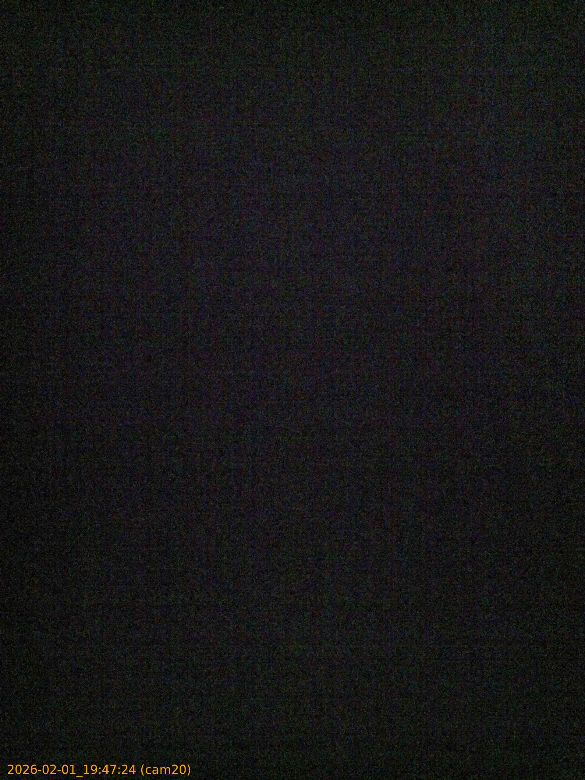 thumbnail_20260201194724