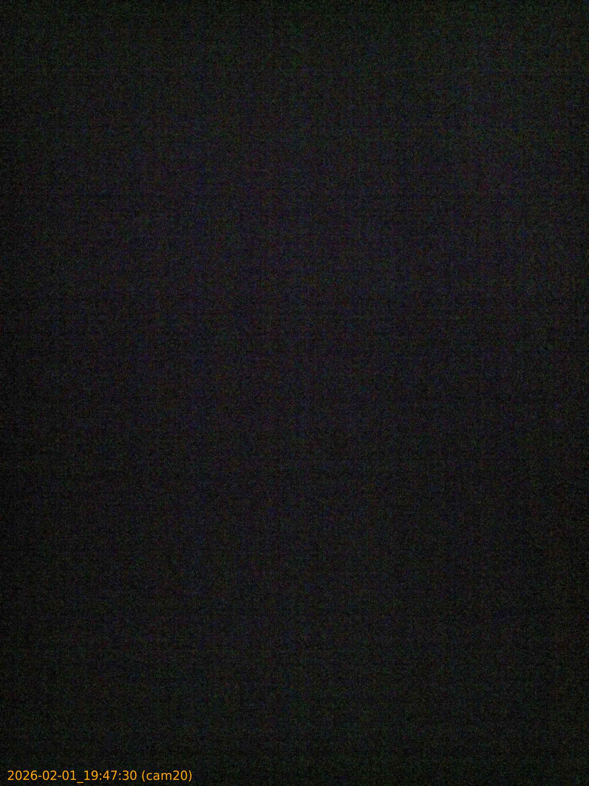 thumbnail_20260201194730