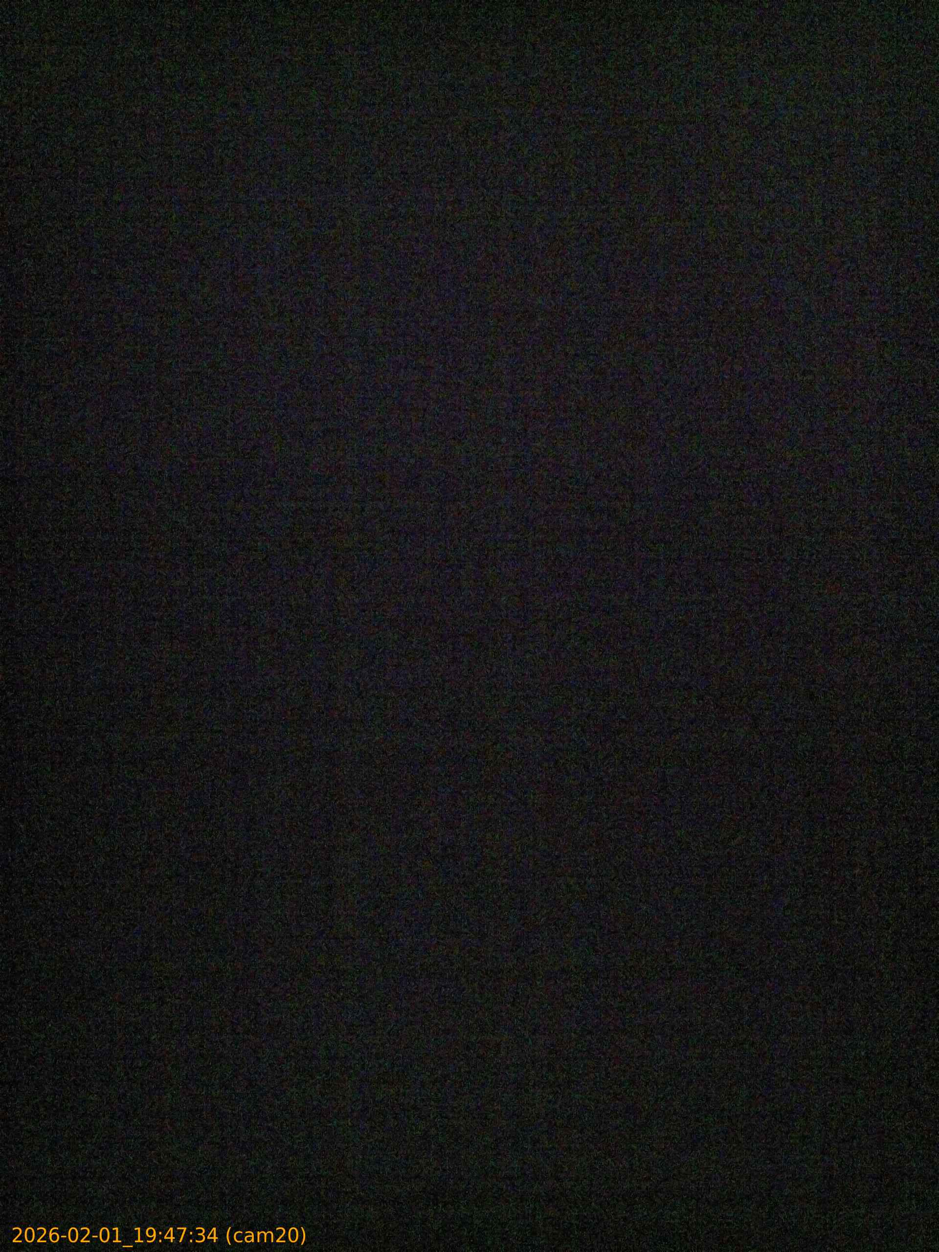 thumbnail_20260201194734