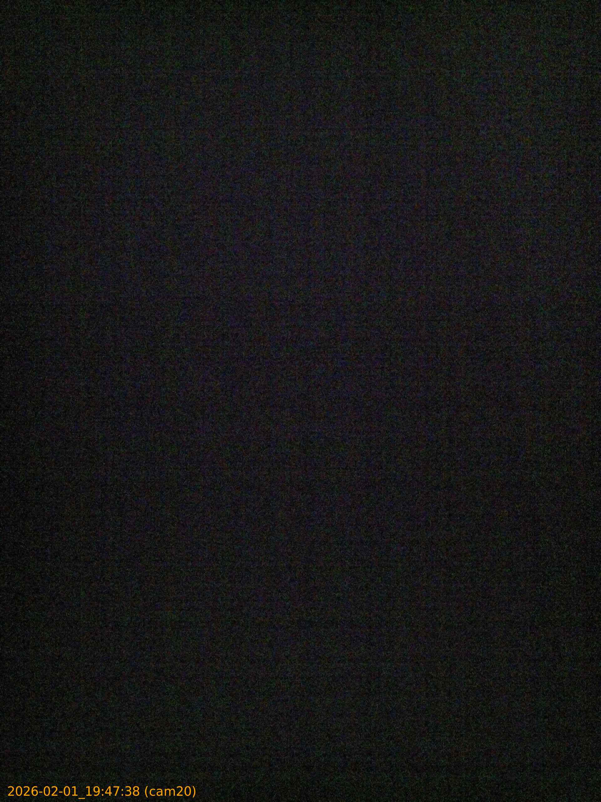 thumbnail_20260201194738