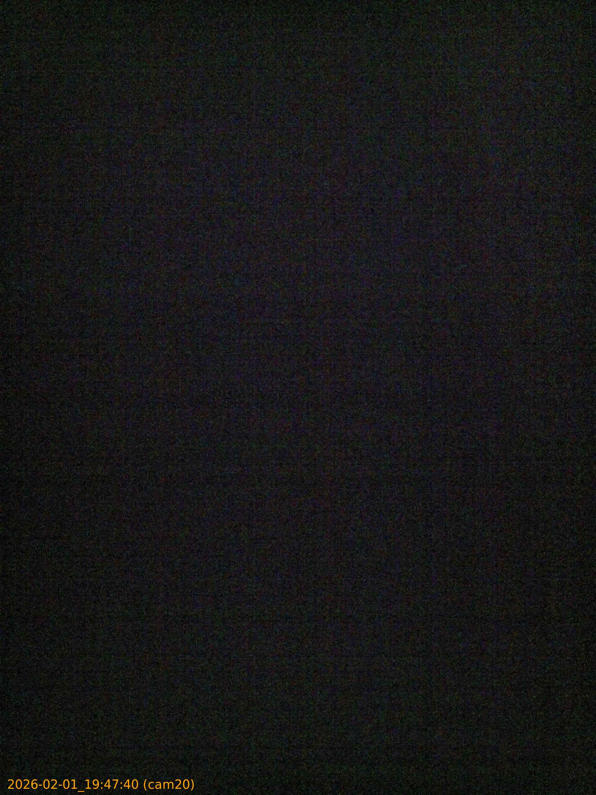 thumbnail_20260201194740