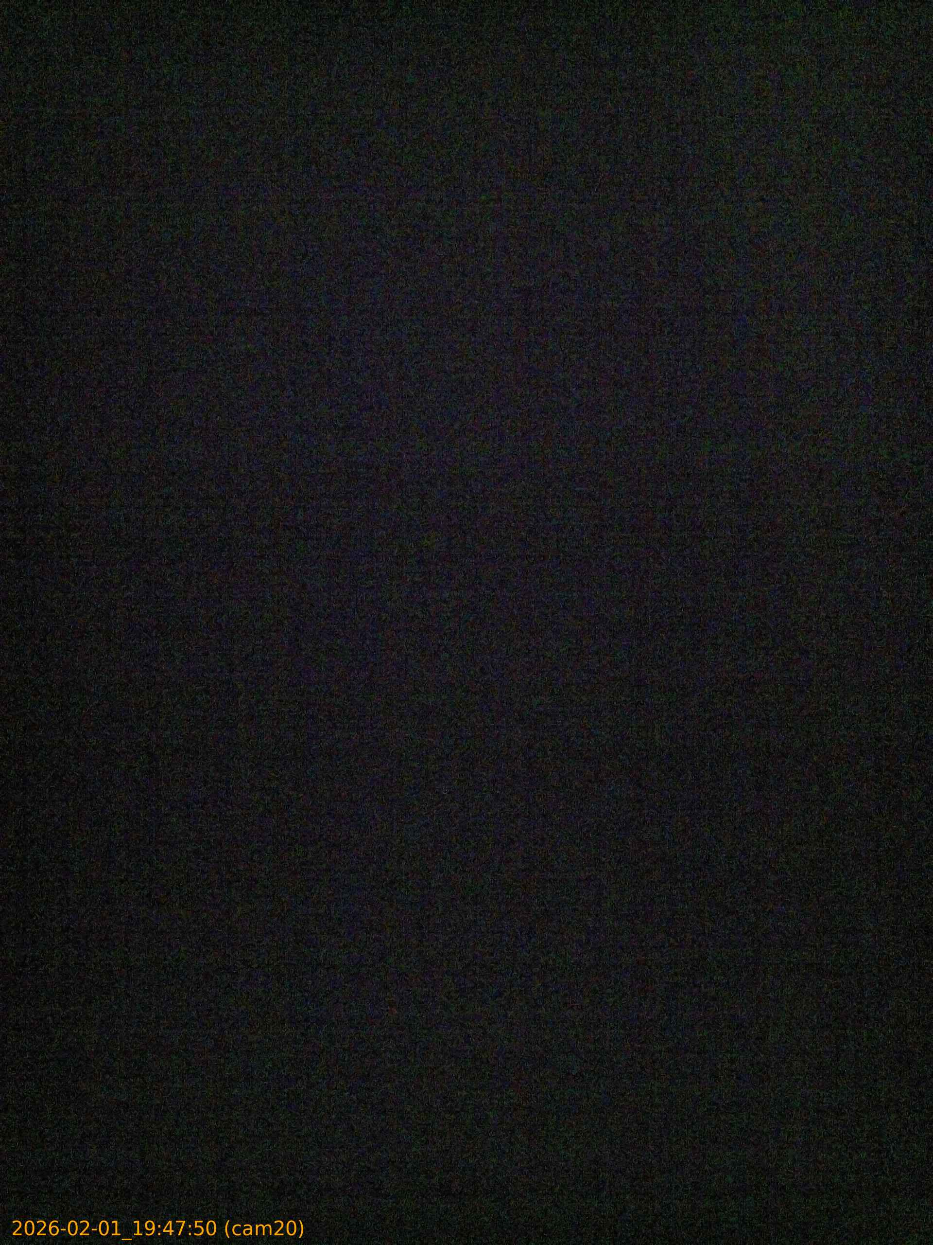 thumbnail_20260201194750